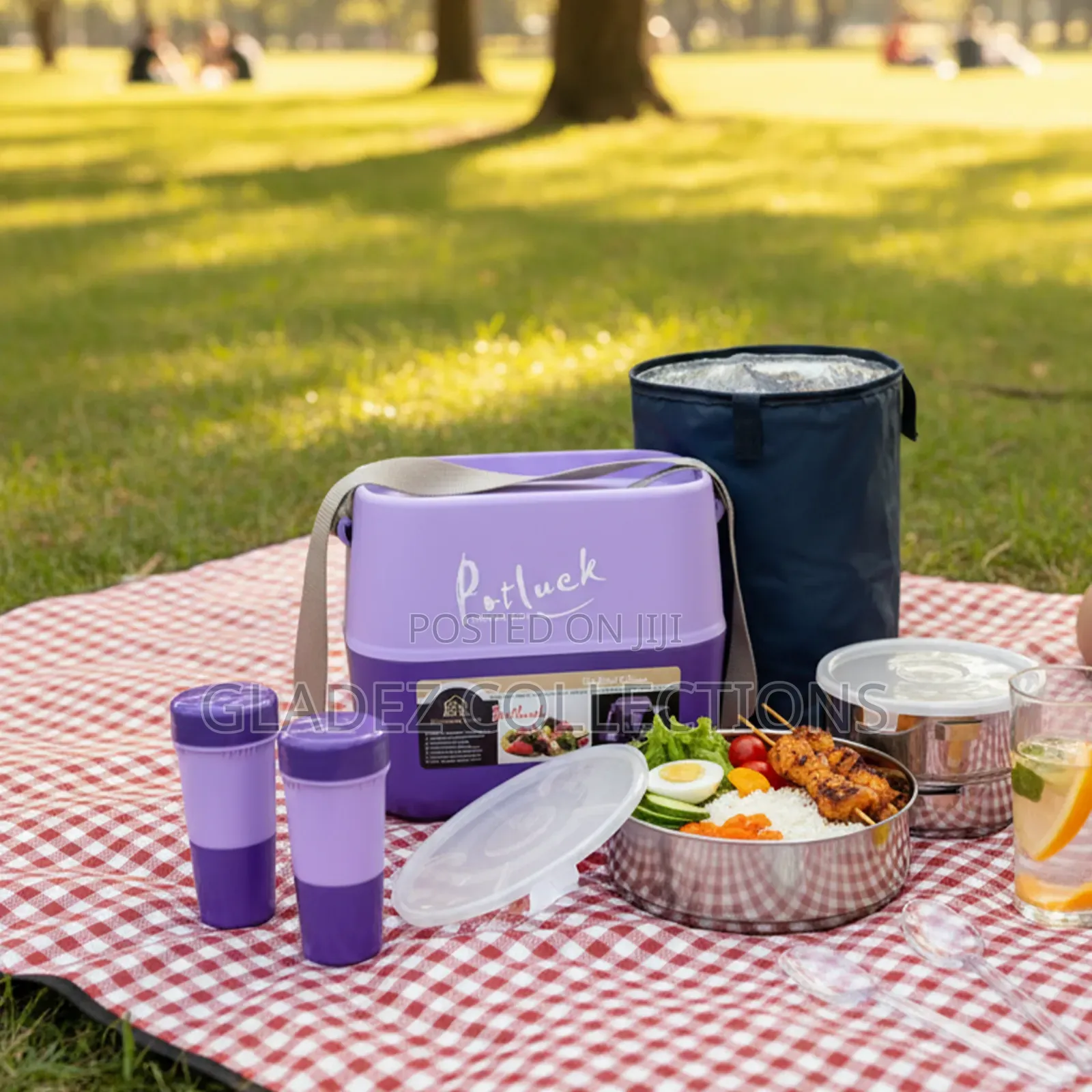 Potluck Insulated Thermal Lunch Flask- Multicolor