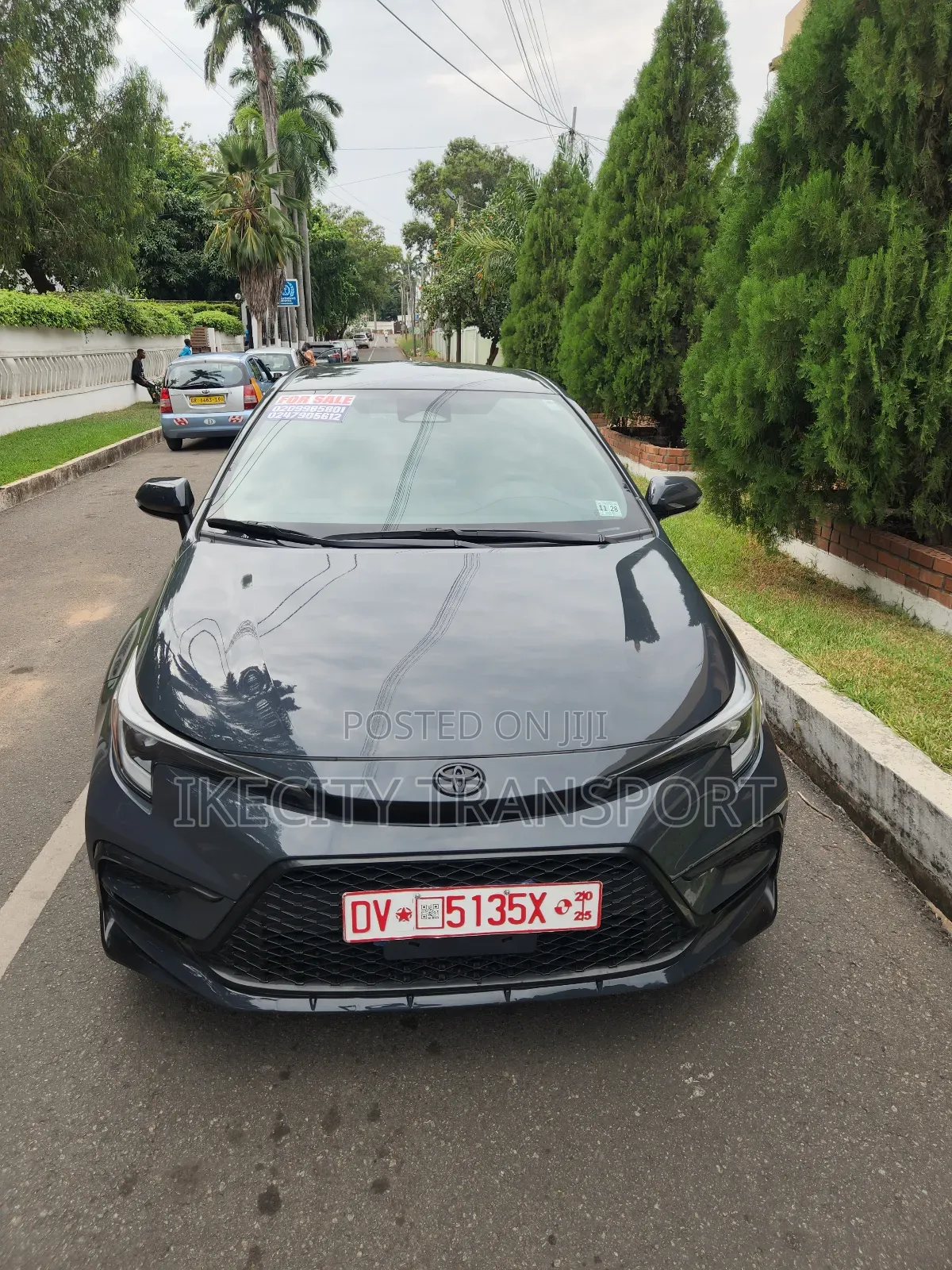 Toyota Corolla SE 2024 Gray