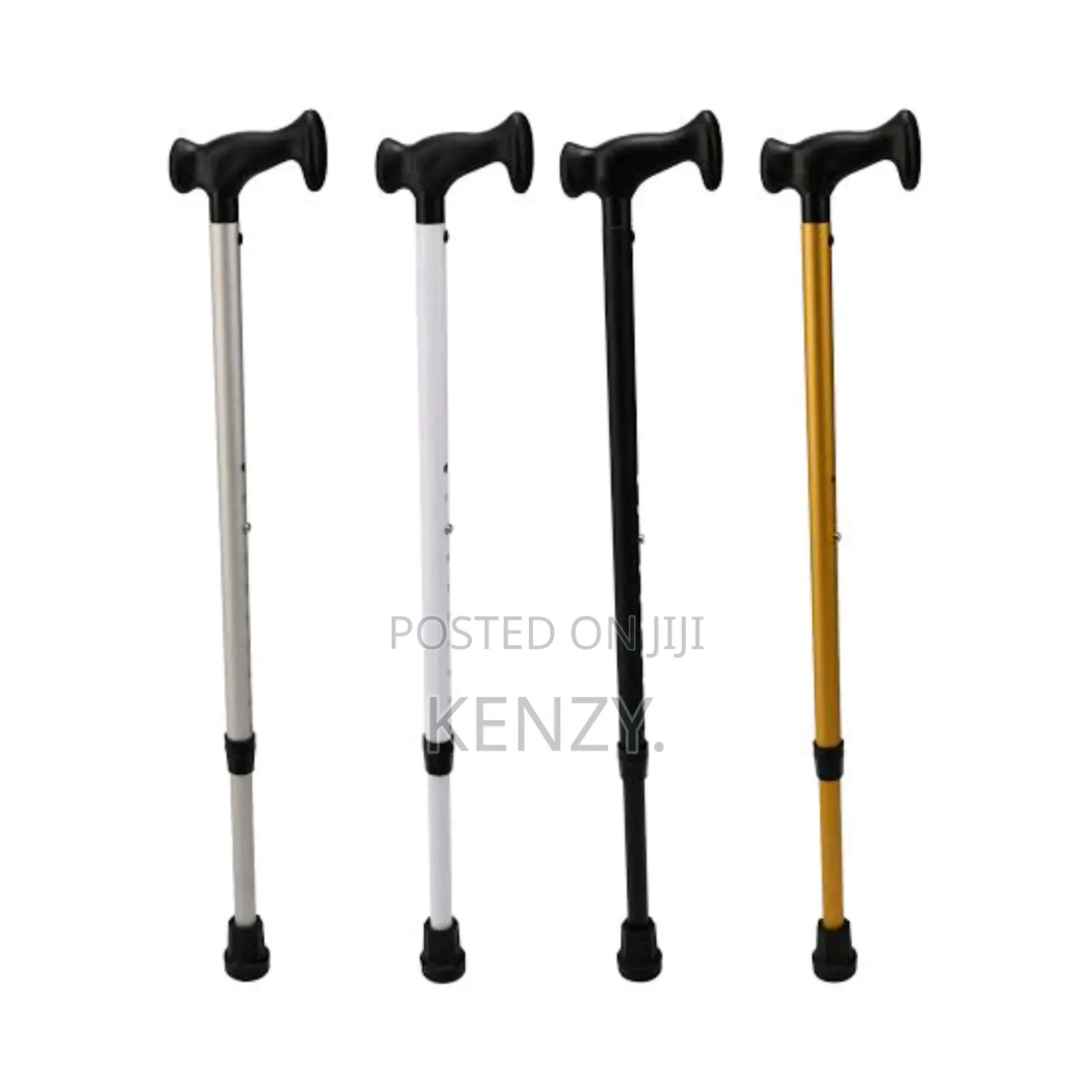 Walking Stick