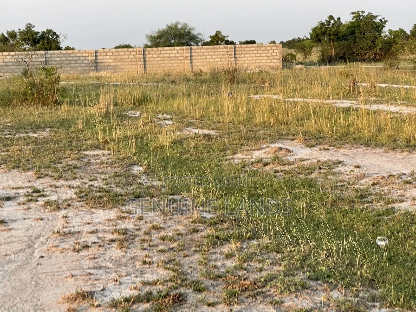 Investment Opportunities, Genuine Land at Tsopoli New Proposed Airport