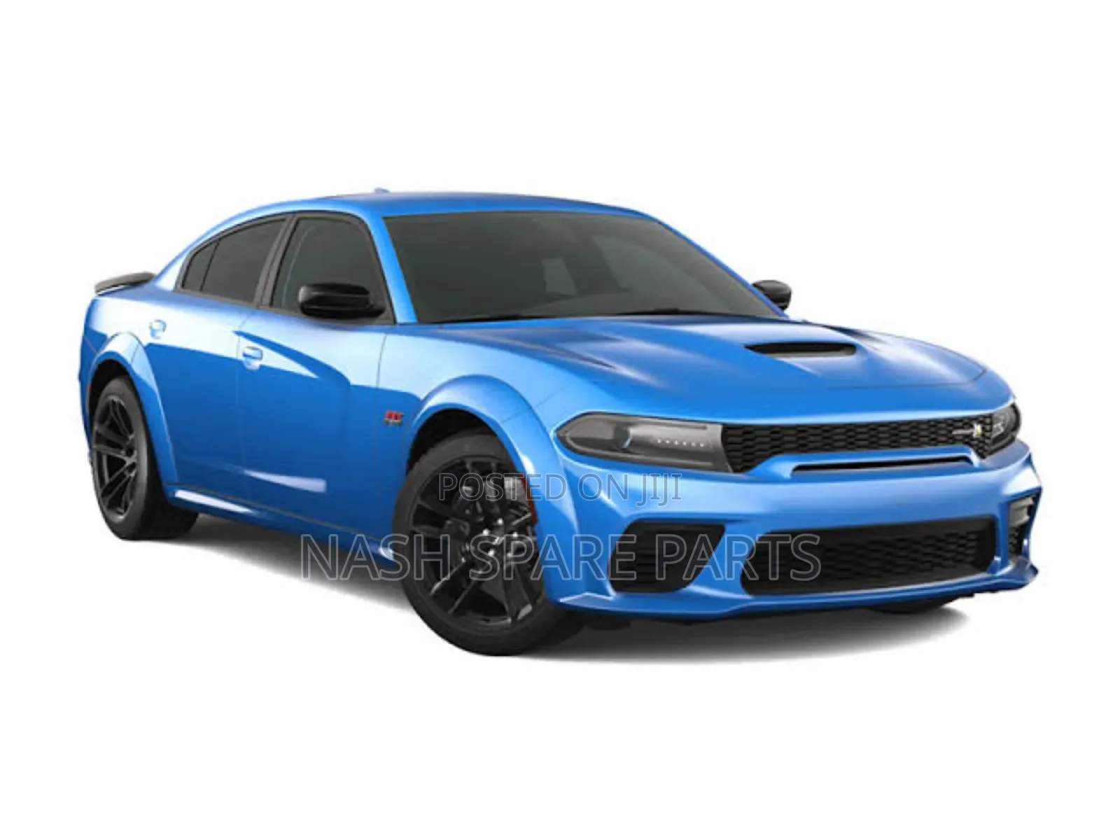 Dodge Charger, Challenger Front Shock Absorber