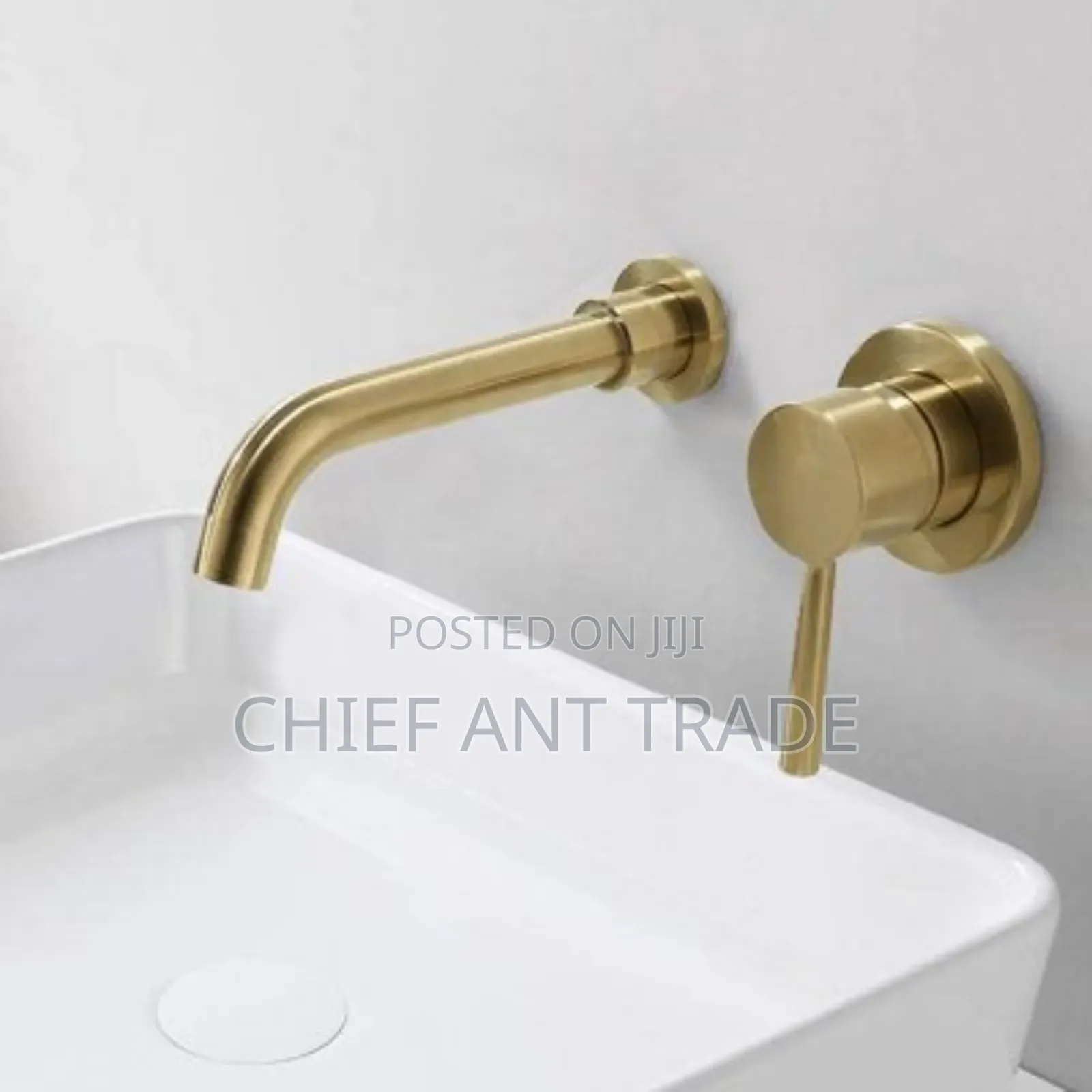 Golden Concealed Wall Faucet Tap. Wal-6