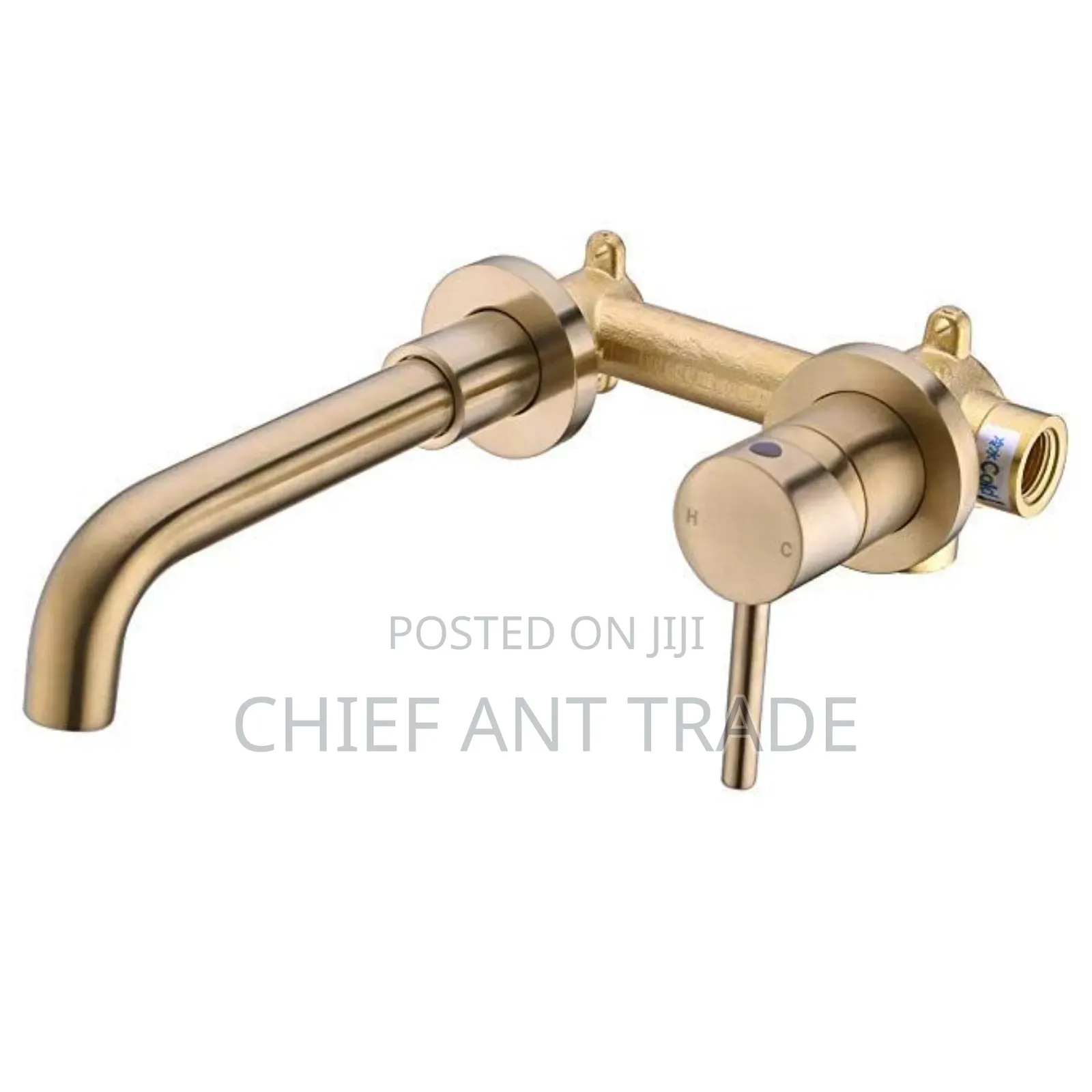 Golden Concealed Wall Faucet Tap. Wal-6