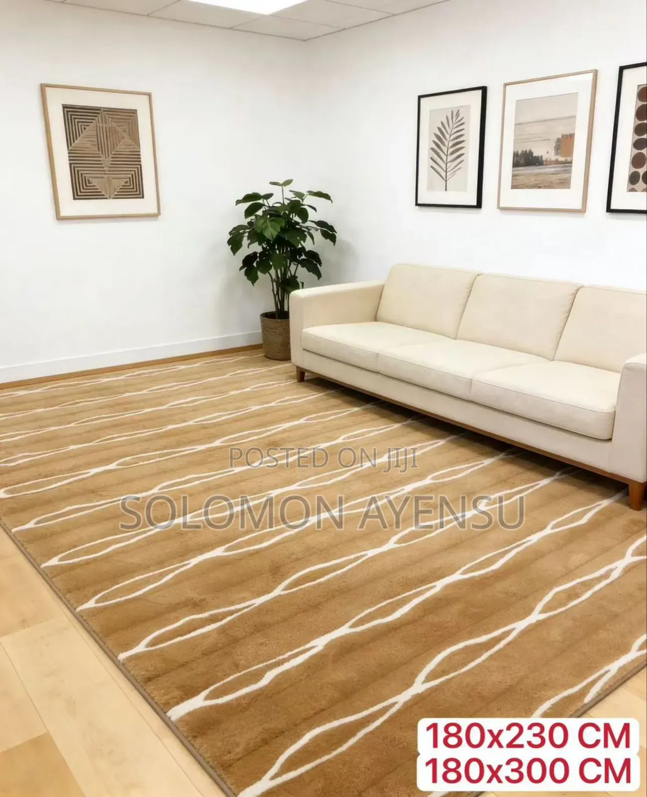 Quality Design Rabbit Hair Carpet Available in Different Colours