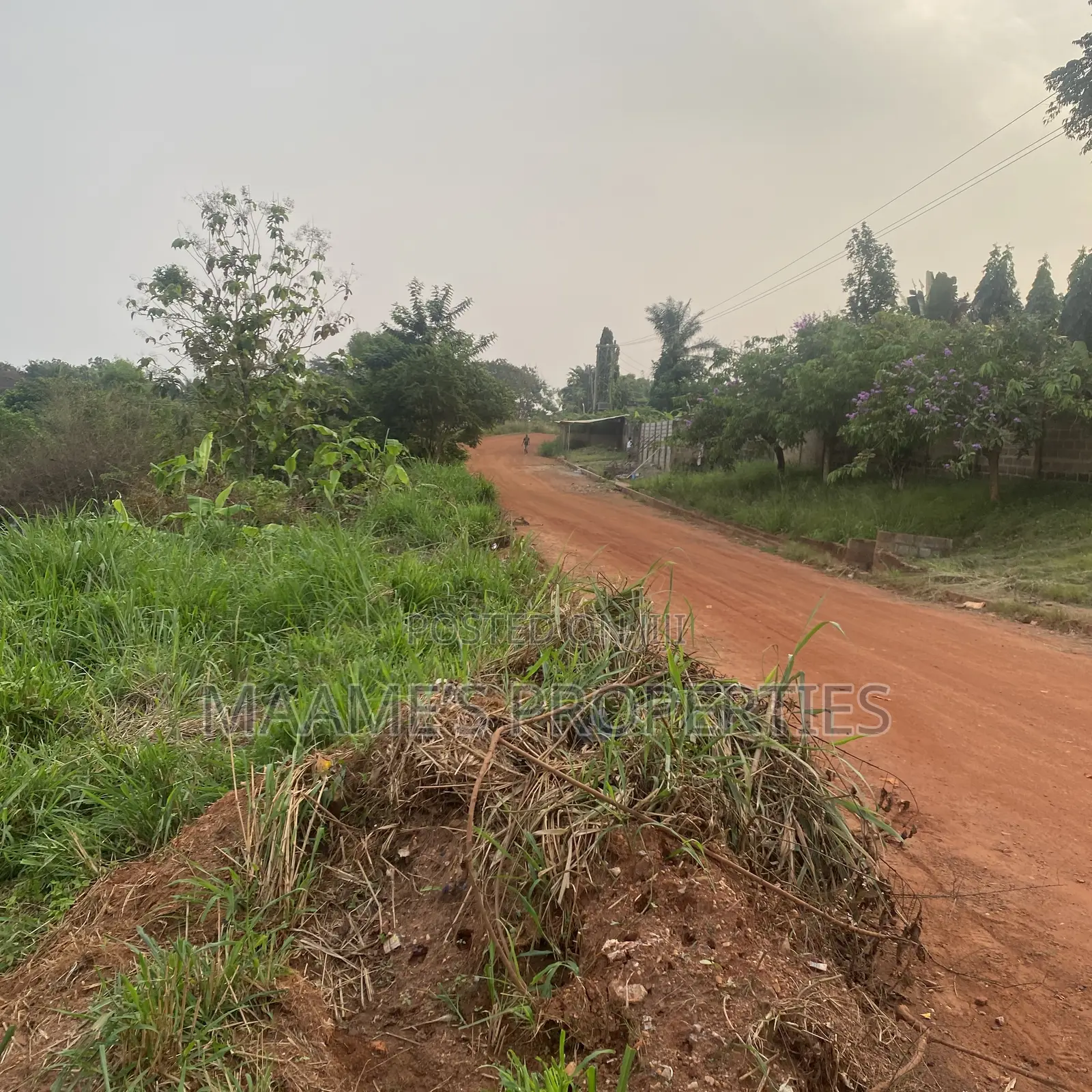 4 Plots at Peduase Close to Otumfuor’S House, Per Plot for 