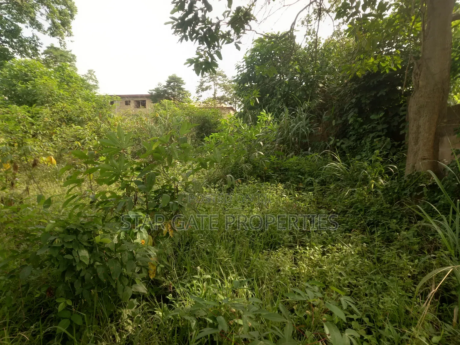 6 Plots for Sale at Ofoase Kokoben ( Near Anwiankwanta)