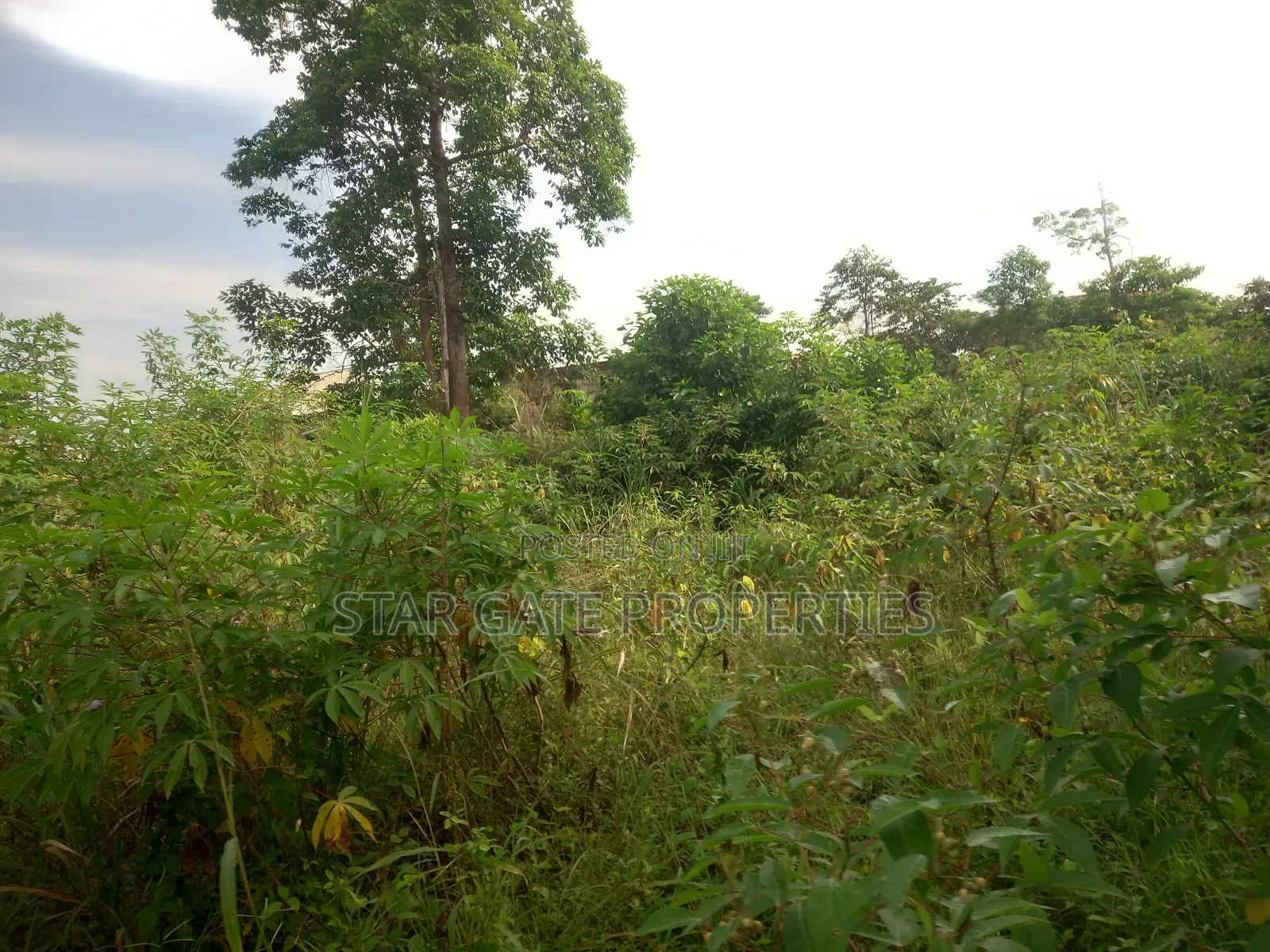 6 Plots for Sale at Ofoase Kokoben ( Near Anwiankwanta)