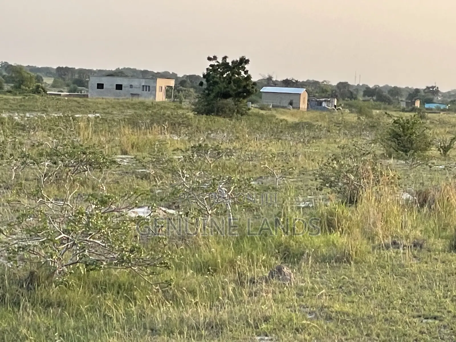 Estate Land for Sale in Tsopoli New Airport