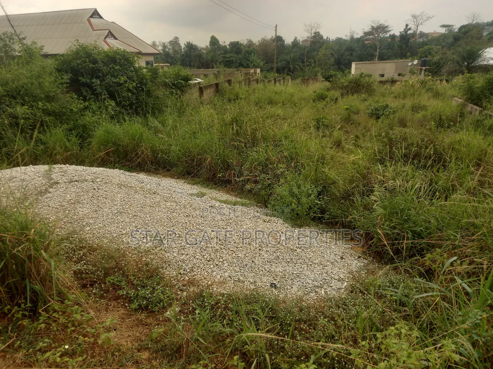 4 Plots ( 1 Acre Land) for Sale at Adesina ( Kenyasi Road)