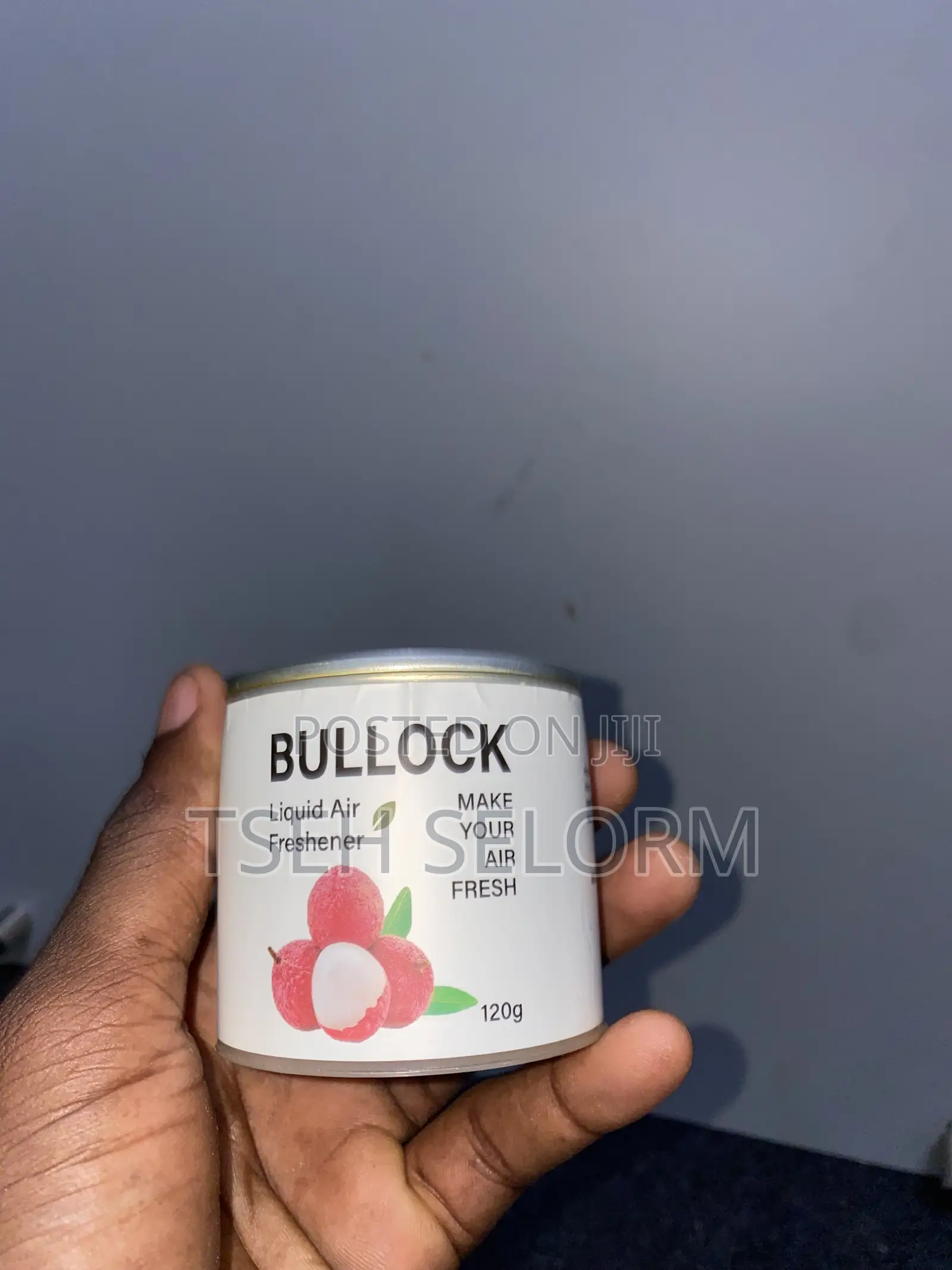 Air Freshener 120g