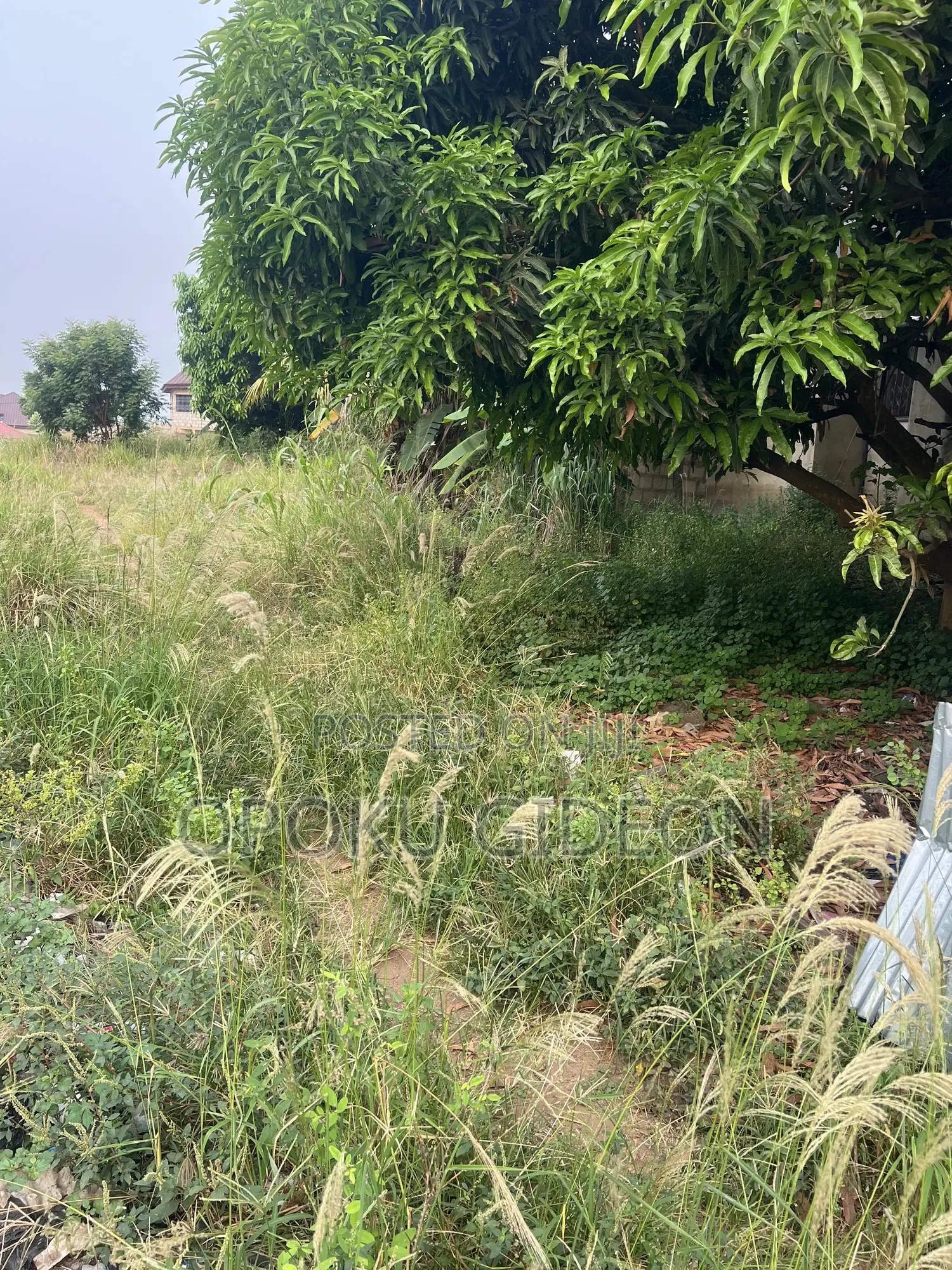2 Plots of Land for Sale
