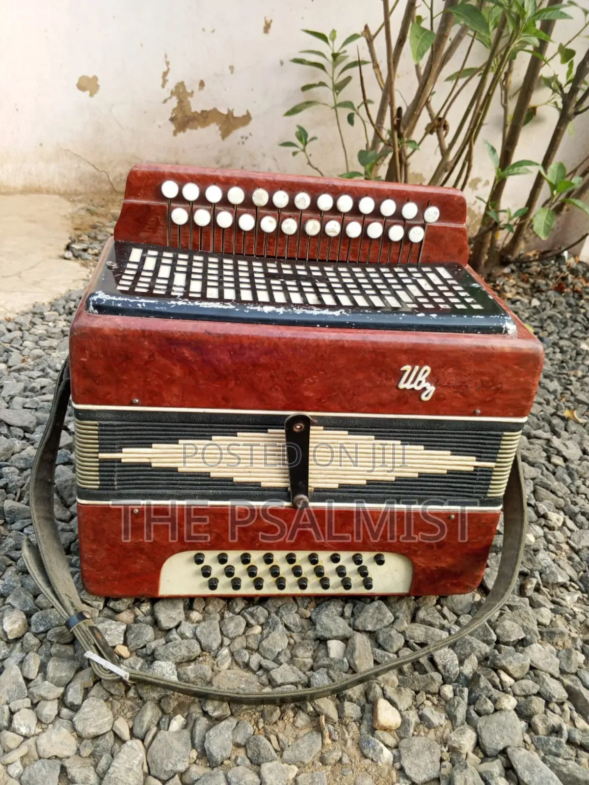 Bayan Vintage (Russian/Ukraine) Button Accordion
