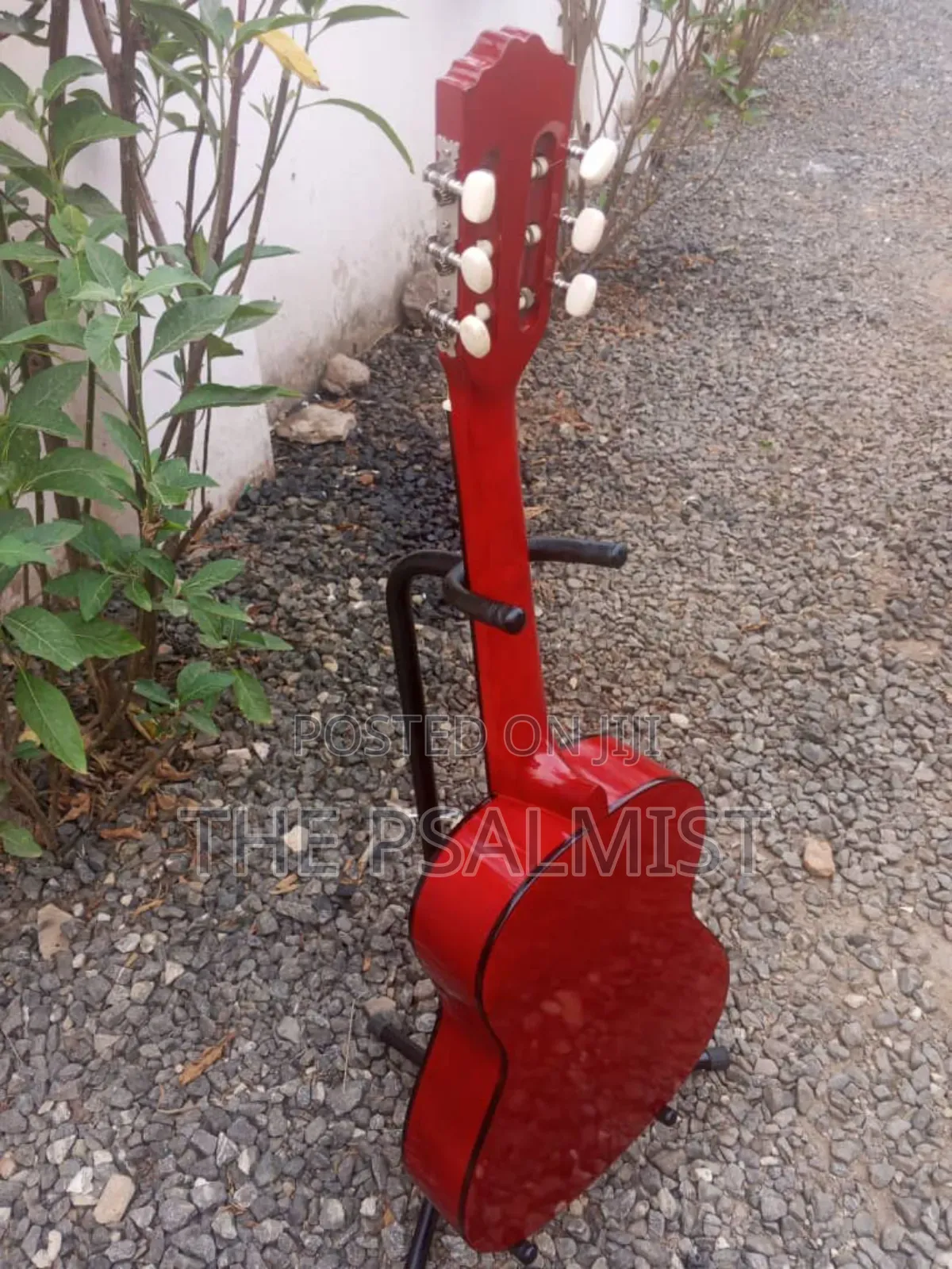 Tenson 3/4 Classical Guitar in a Padded Bag