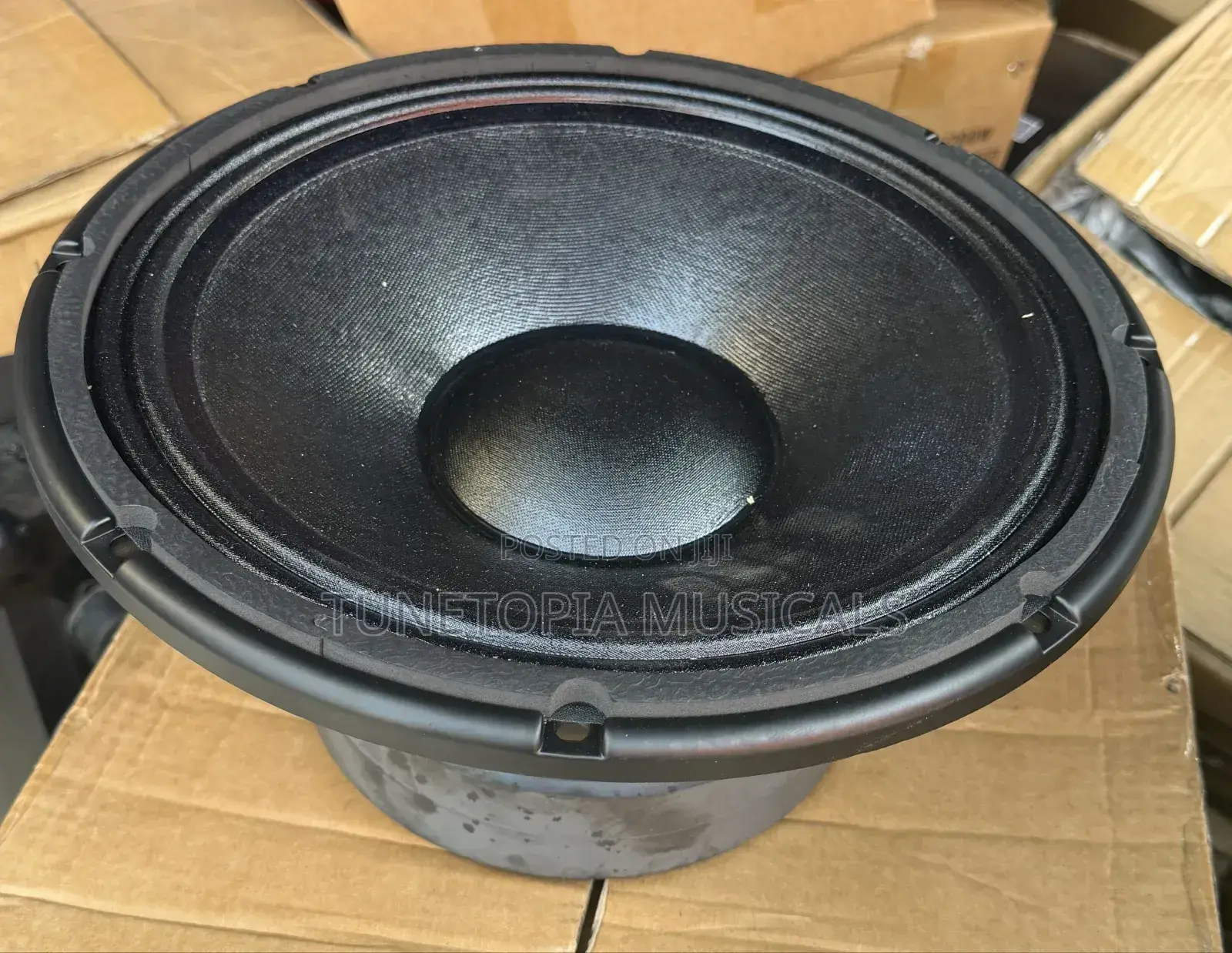 Jac Lf12g301d 12inches Double Magnet Pair Of Naked Speaker