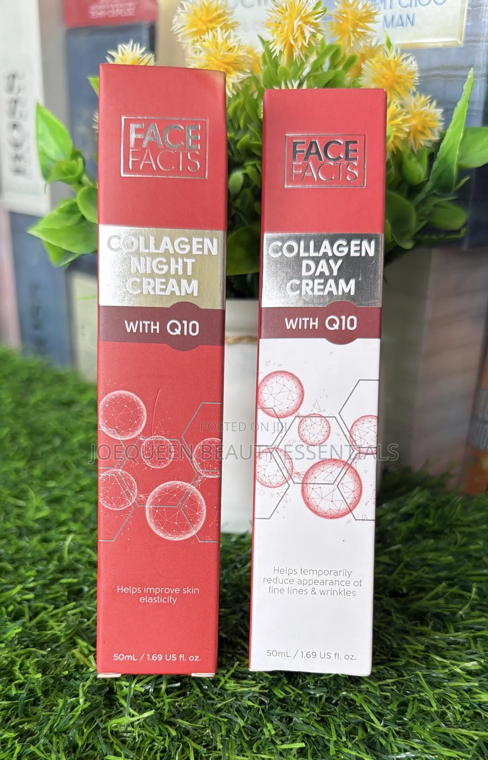 Face Facts Face Cream