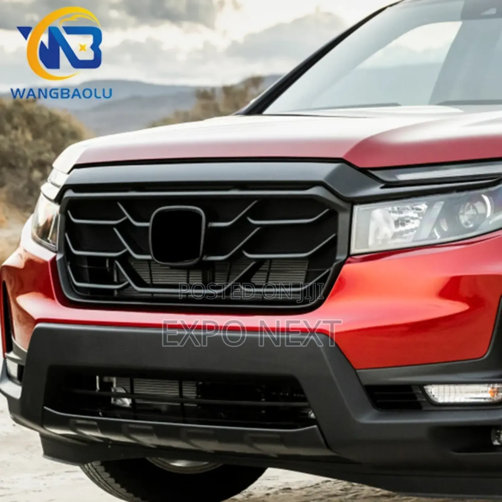 Ridgeline Front Bumper Grille 2017-2019