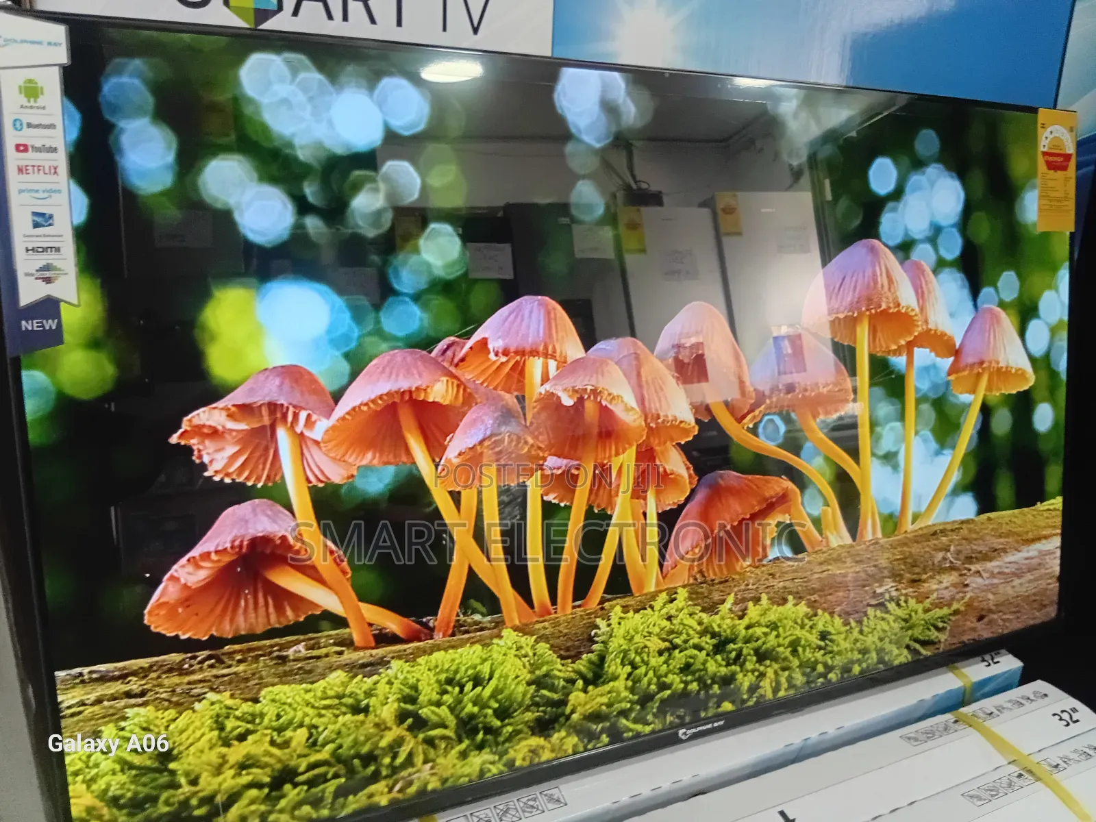 Dolphin Bay 43-Inch Smart Television With Stunning Hd Dolphine Bay