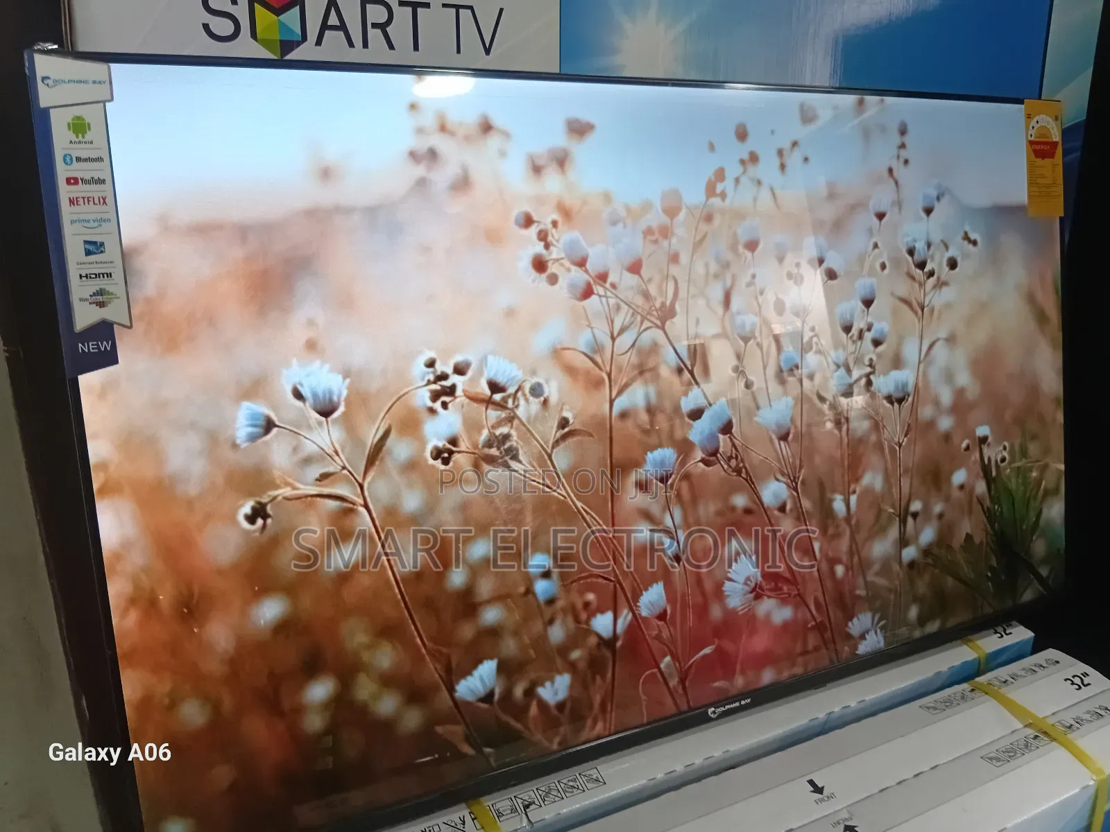 Dolphin Bay 43" Smart Television – Immersive Dolphine Bay
