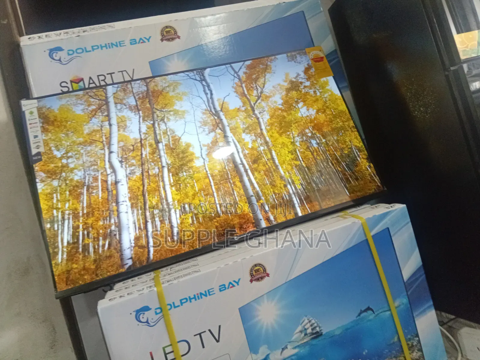 Dolphine Bay 43-Inch Smart Tv, This Just in Dolphine Bay 43-Inch