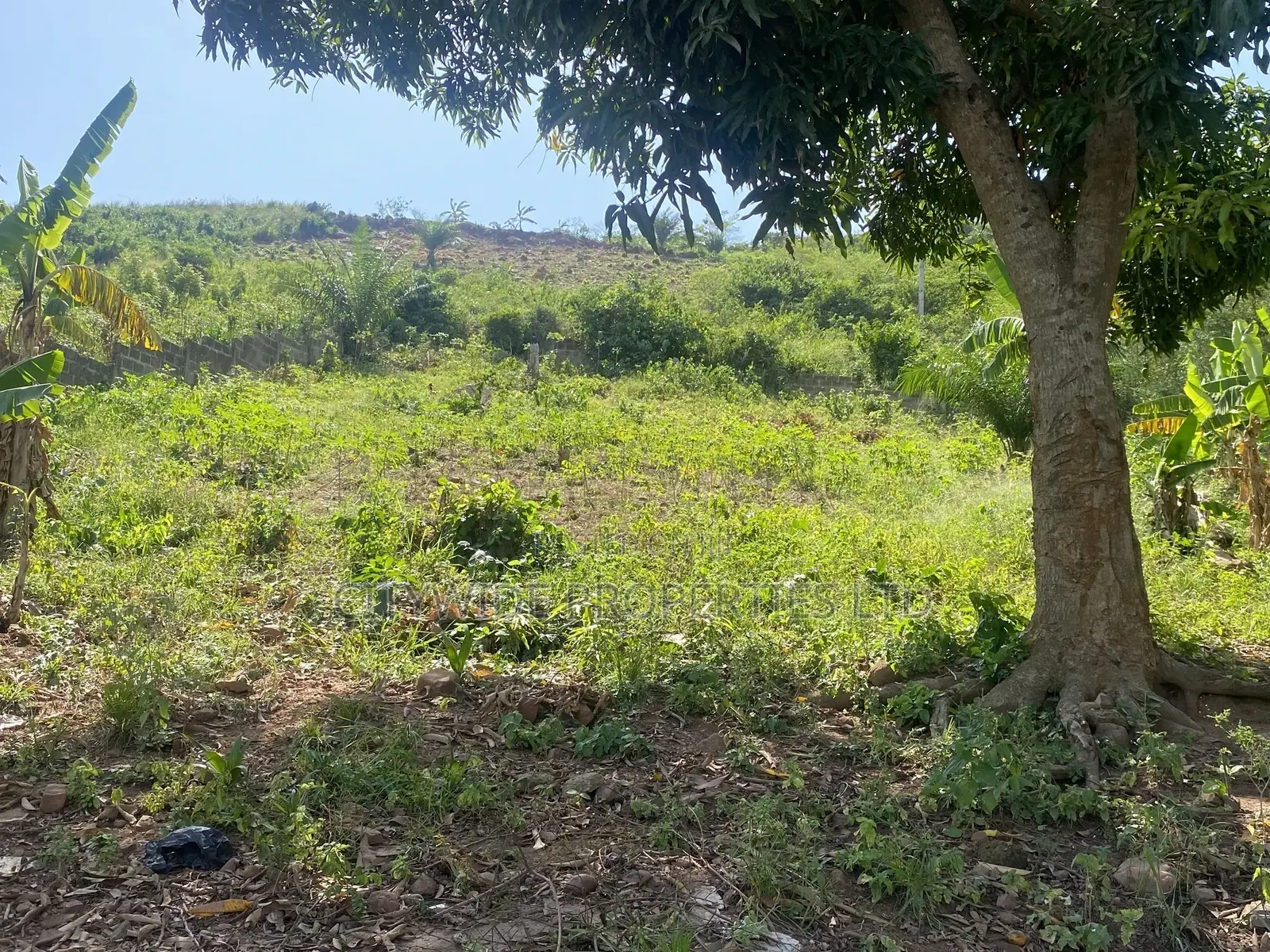 Prime Land for Development