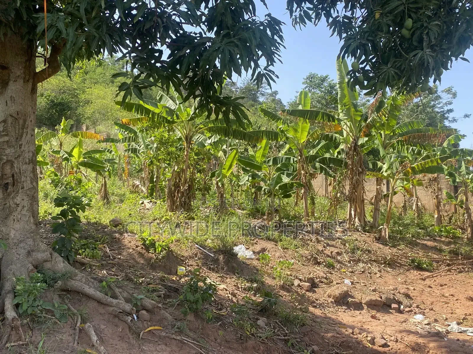 Prime Land for Development