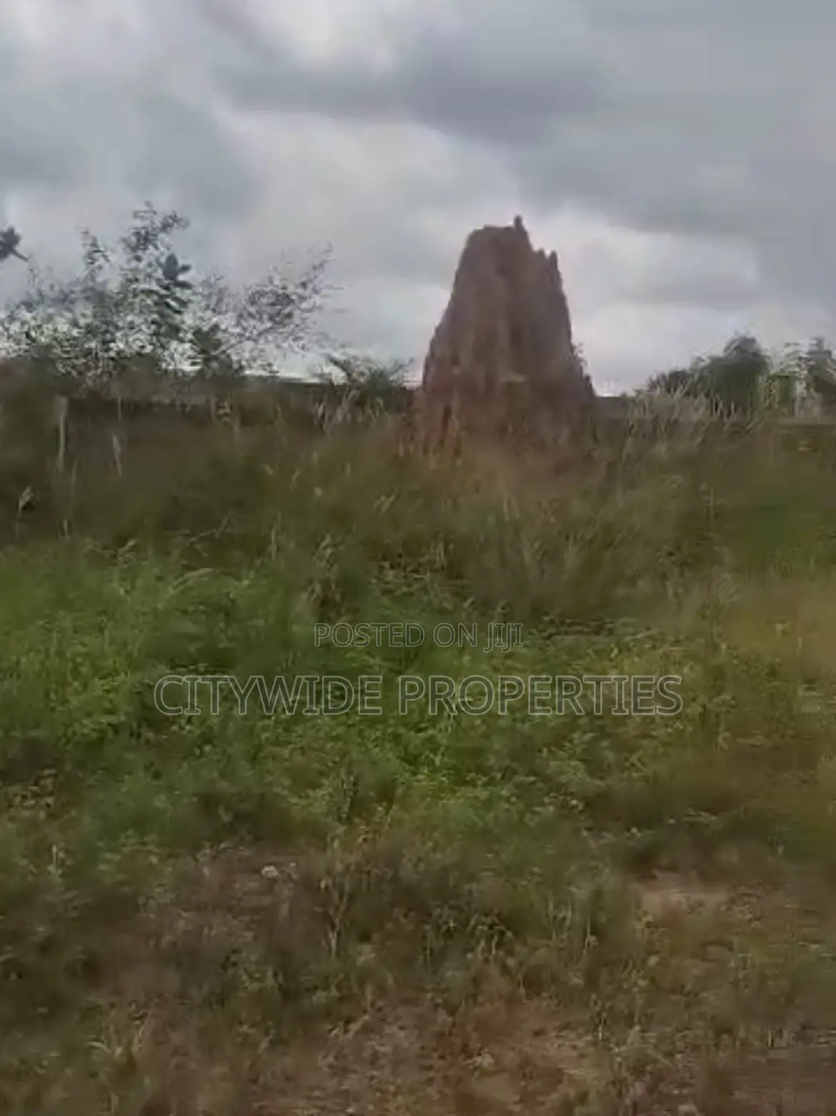 Affordable Development Land