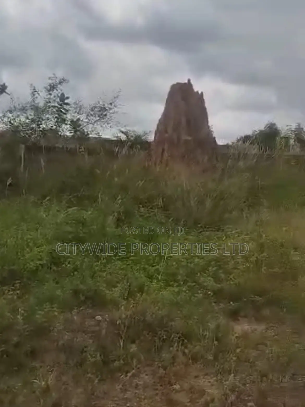 Affordable Development Land