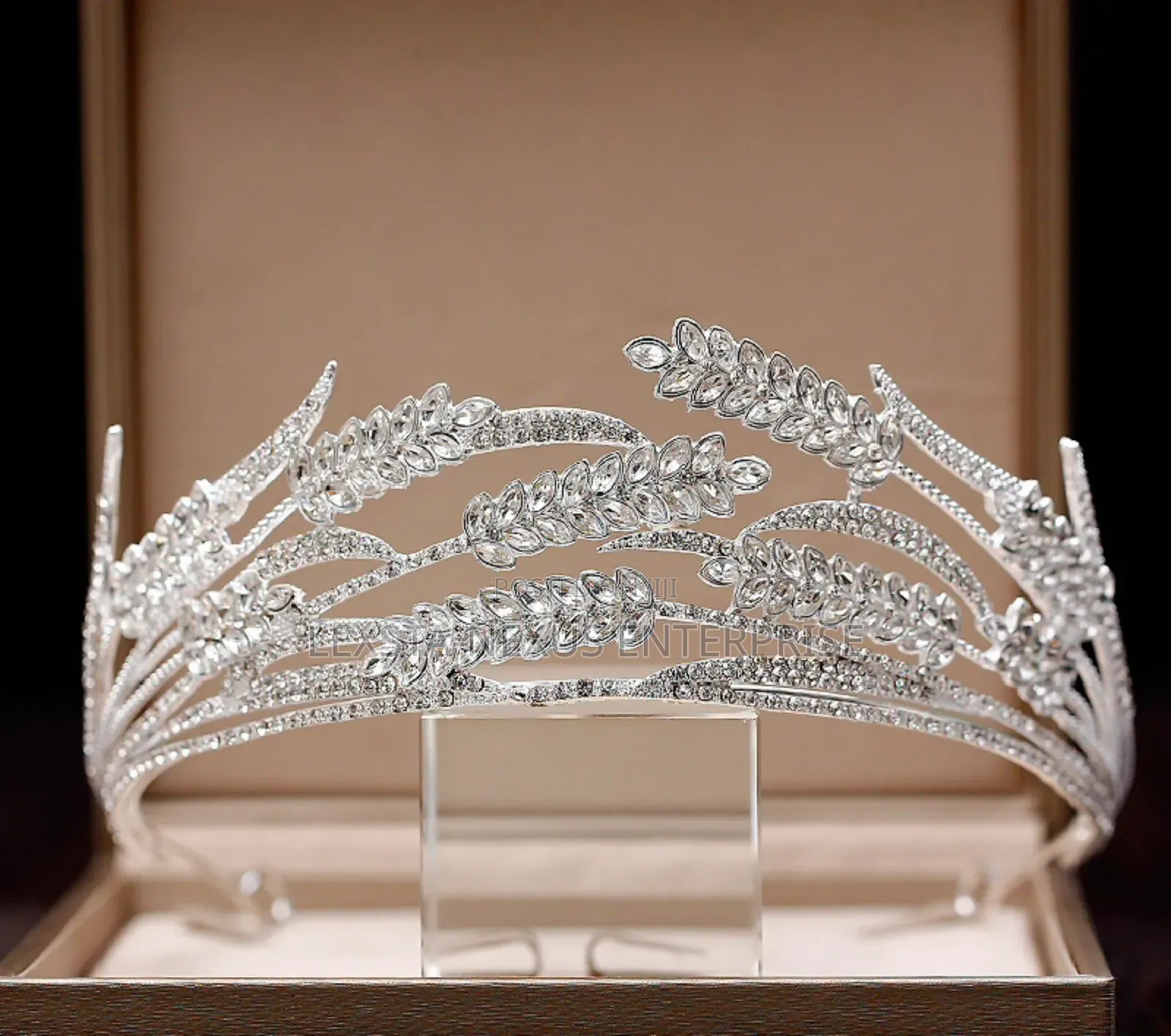 Tiara/ Headpiece