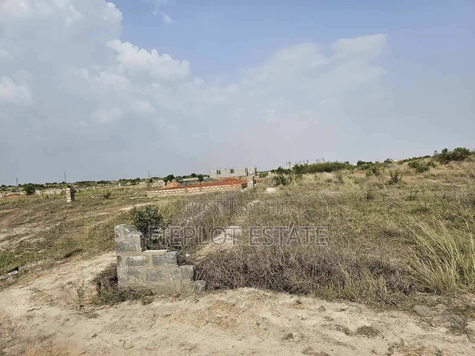 No Landguard, No Worries- Affordable Lands at Tsopoli, Skyport City