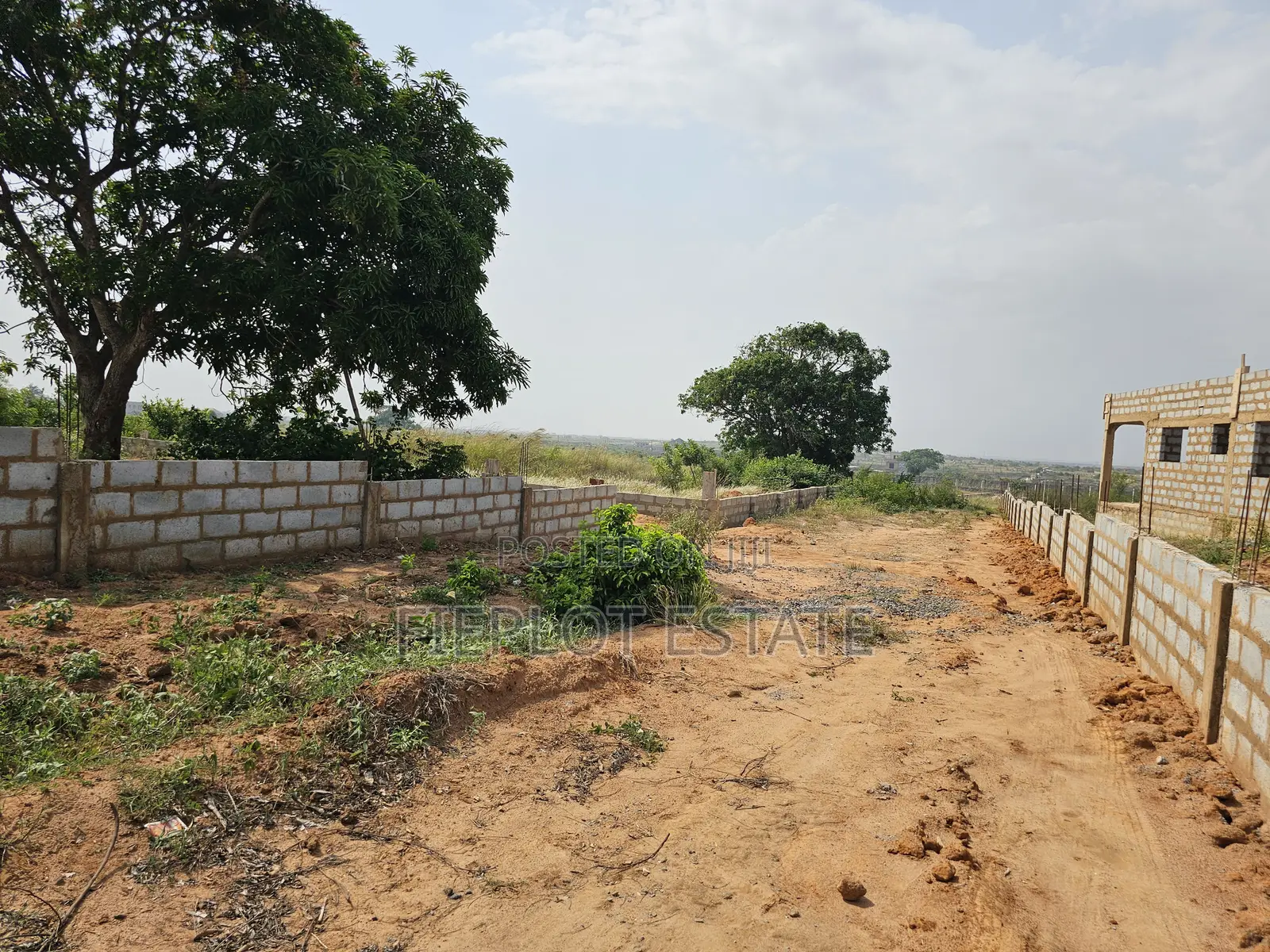 Your Genuine Plot, Fully Documented at Skyport City, Tsopoli