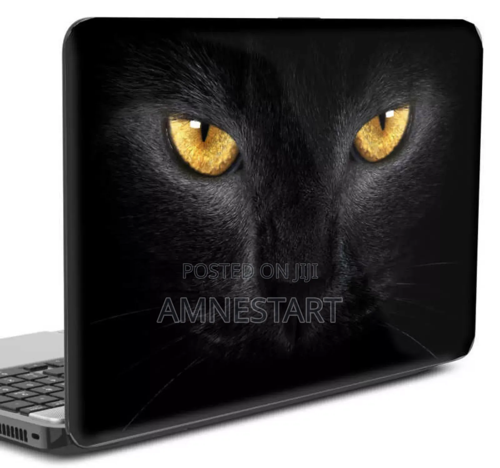 Laptop Stickers