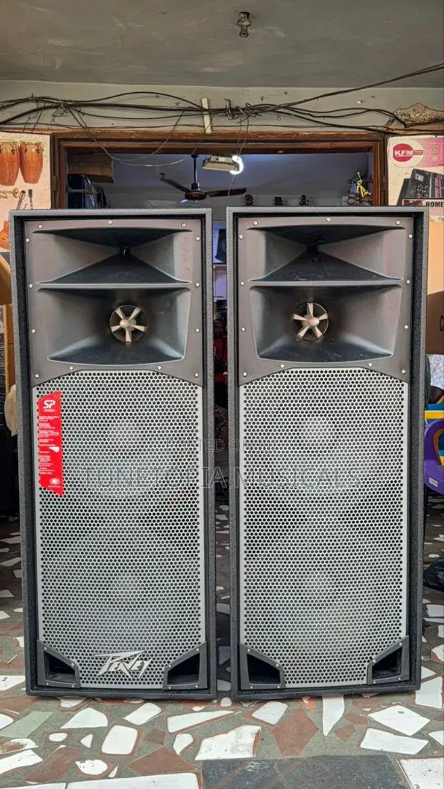 Peavey Sp 6 Quasi-three-way, Full-range Pa Speakers.