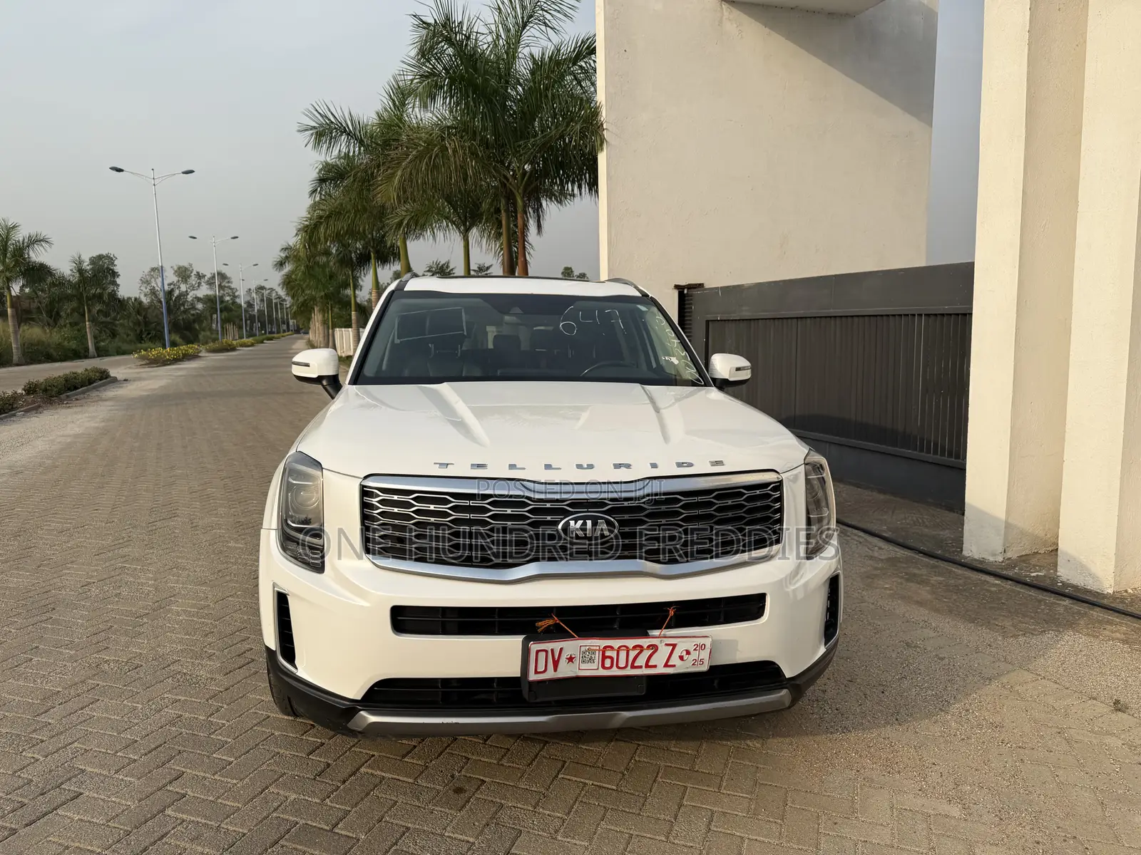 Kia Telluride 3.8 AWD 2020 White