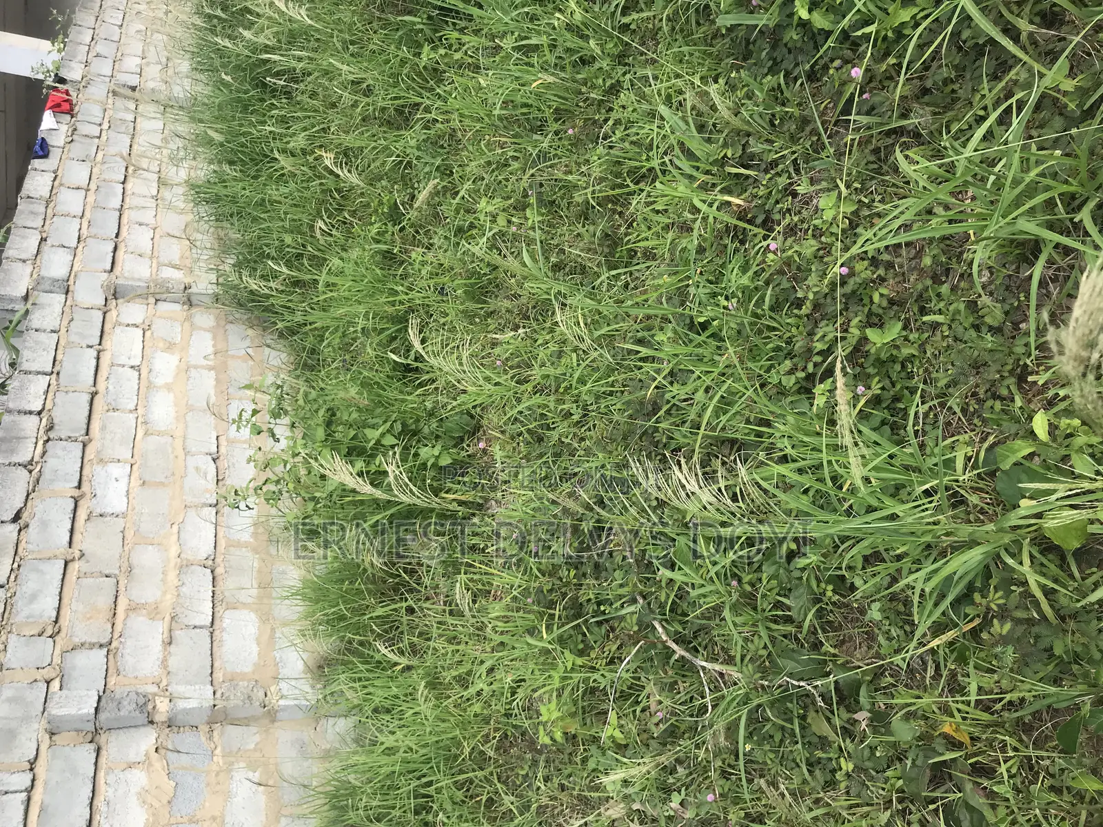 Titled Land for Sale Teiman