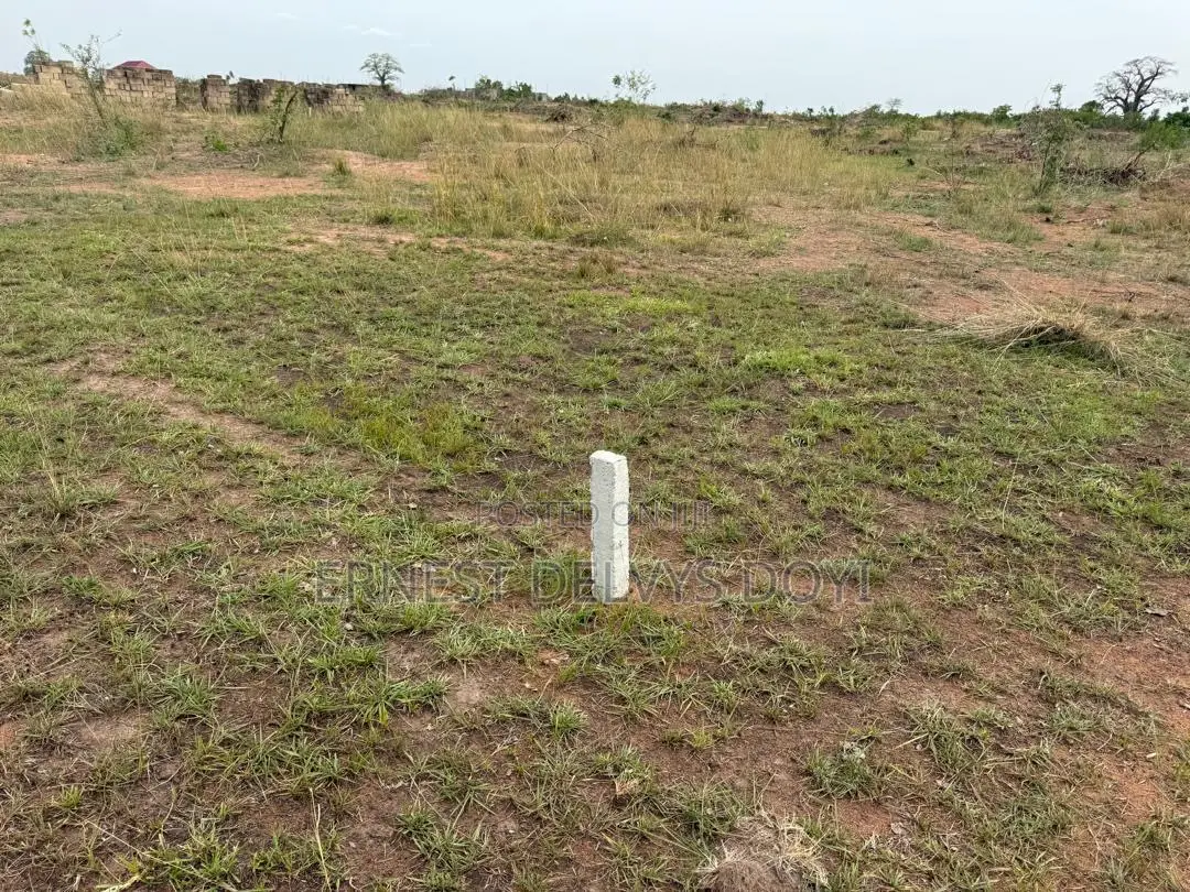 Titled Lands for Sale at Ayikumah - Sasabi