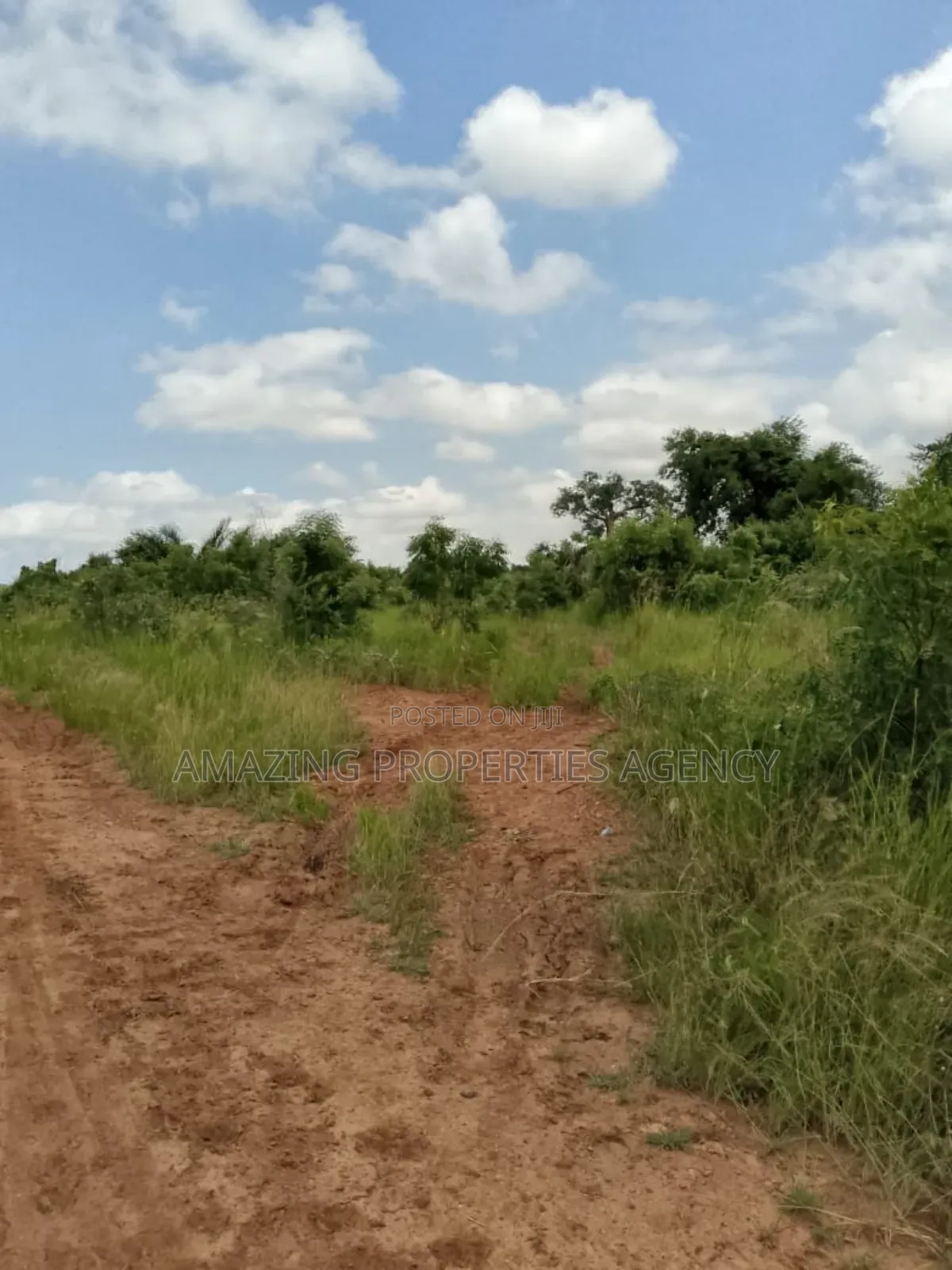 17 Plots With 6 Bedrooms Duplex and Warehouse for Sale at Nsawam