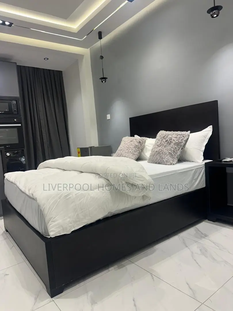 Furnished 1bdrm Apartment in Manet, Spintex for rent