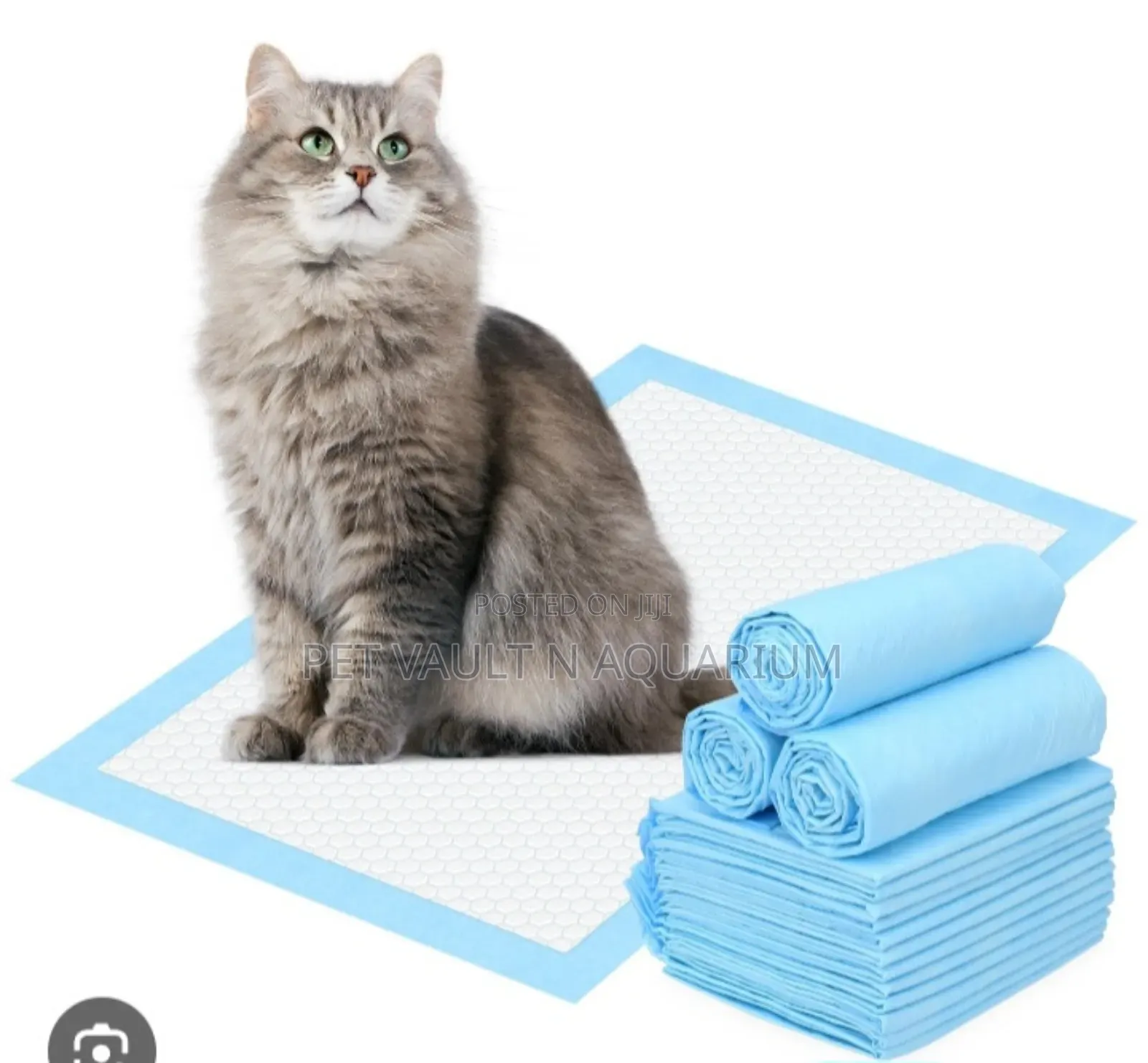Training Pee Pads for Cat