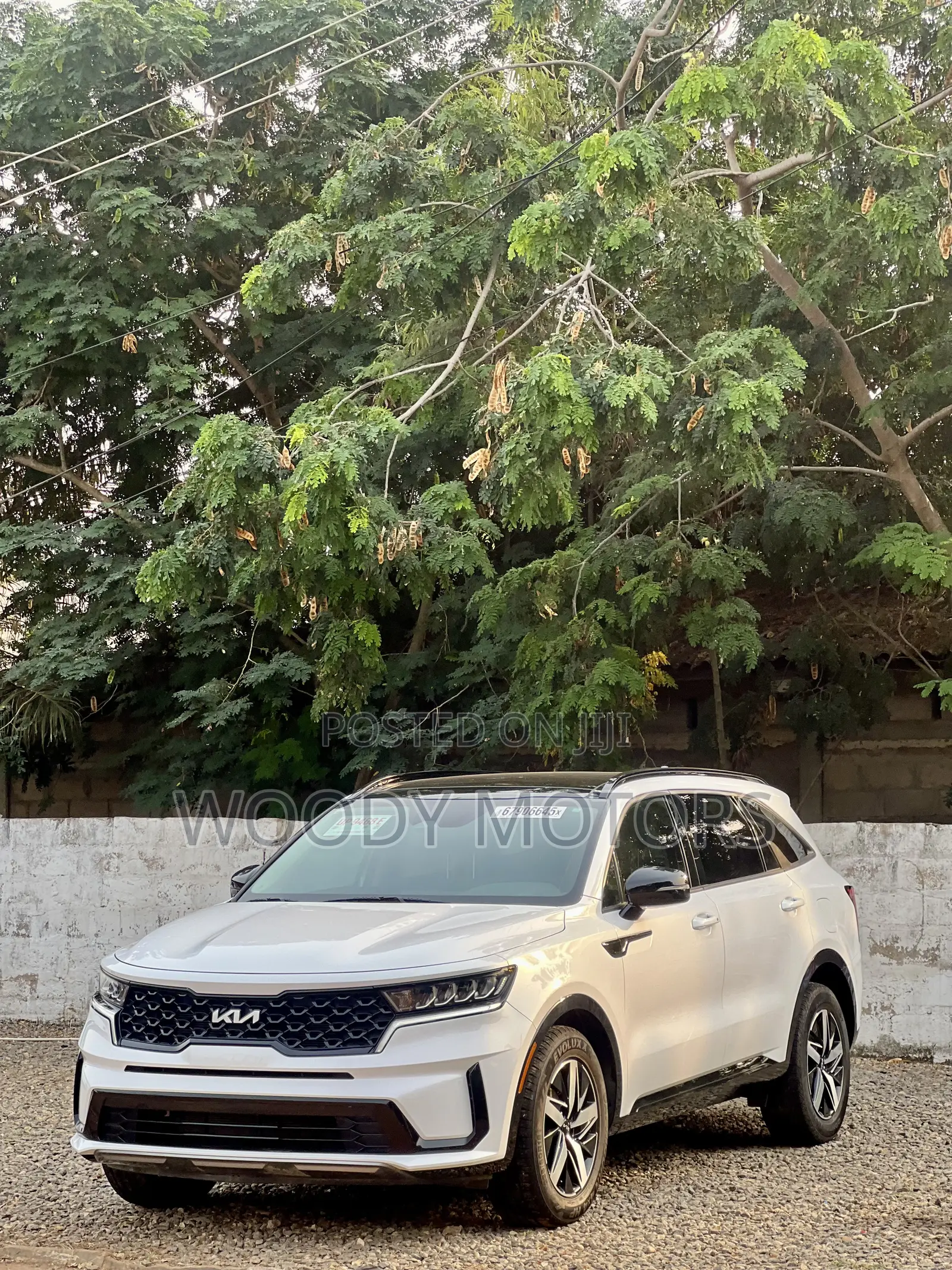 Kia Sorento S 2022 White