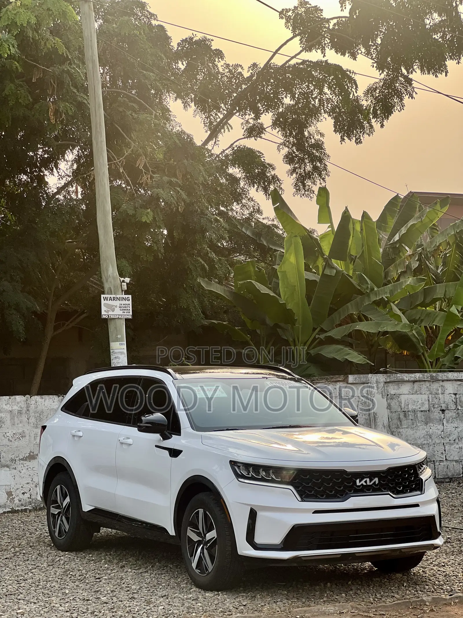 Kia Sorento S 2022 White