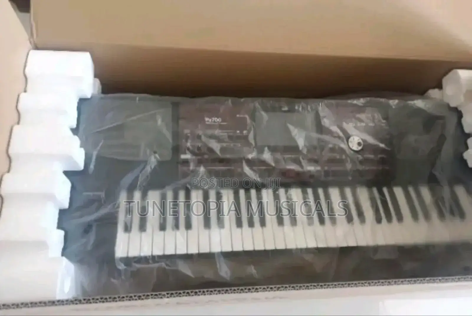 Korg Pa700 Professional Arranger Keyboard.