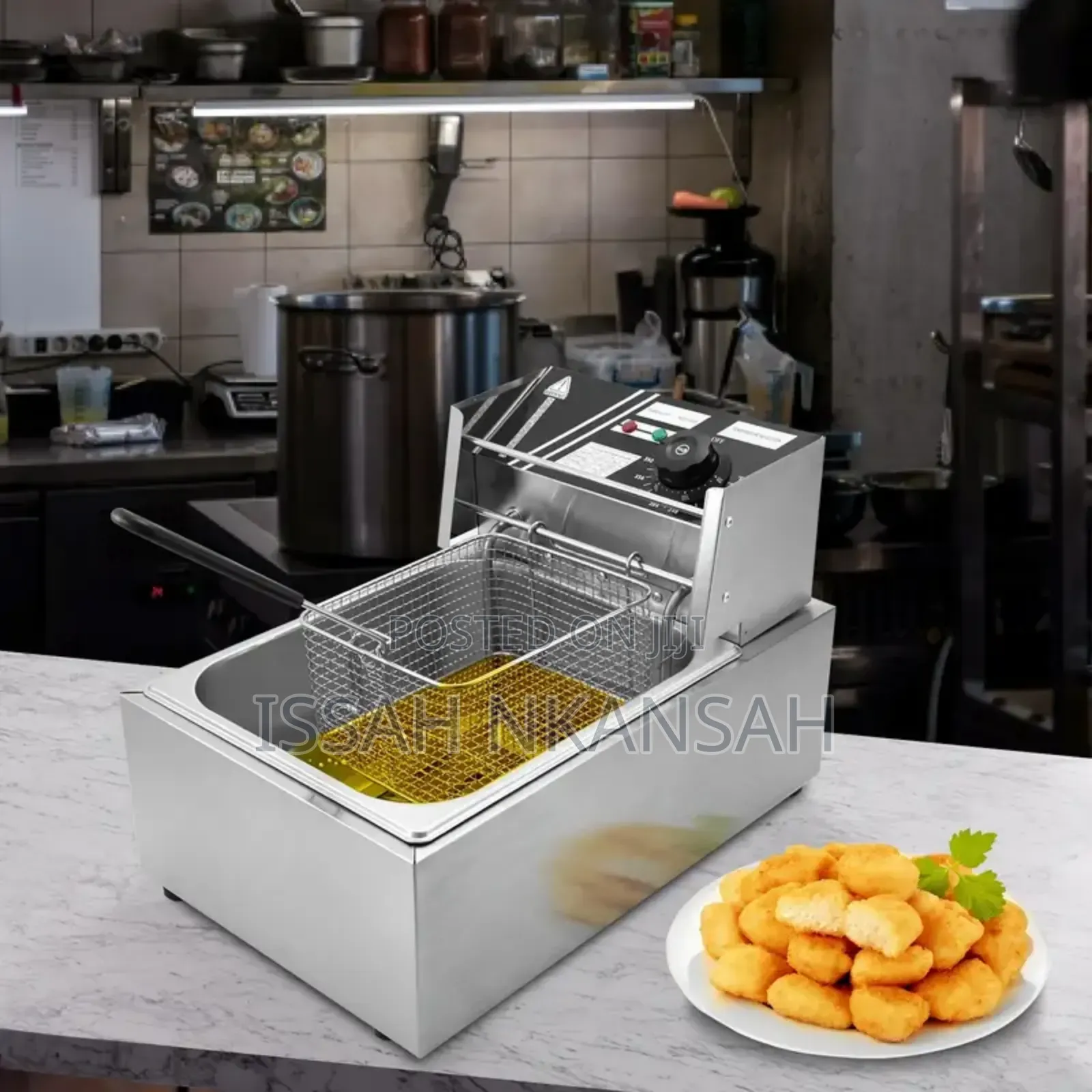 Electric Deepfryer