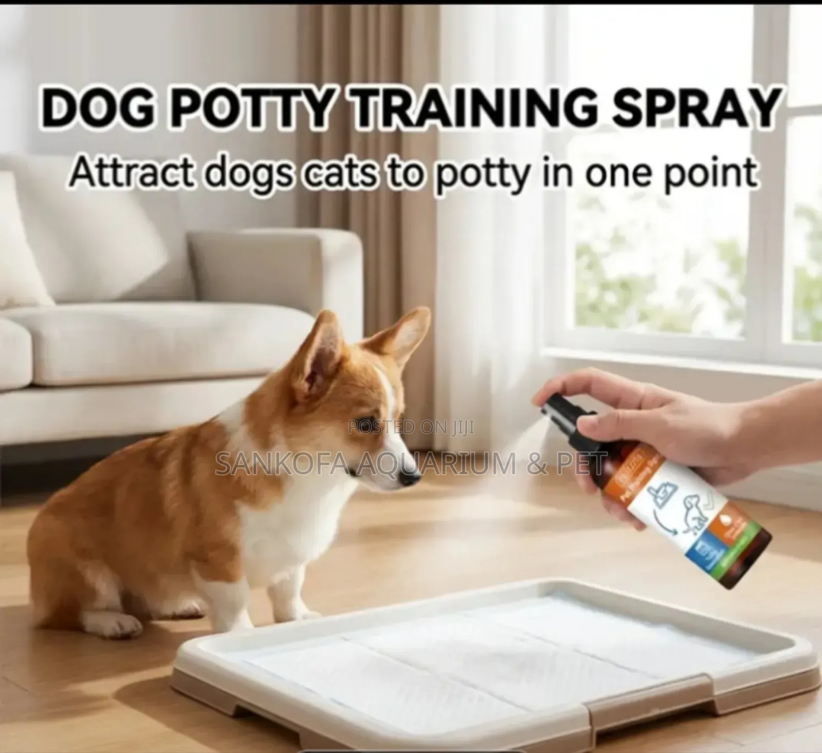Best Dog Potty Training Spray