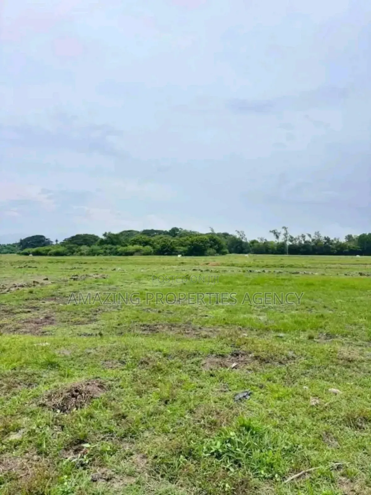 1000 Acres Of Land For Sale At Juapong Akosombo