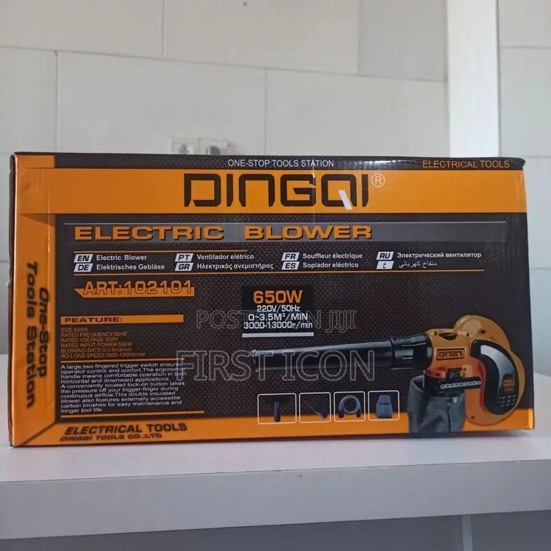 650w Electric Blower With Intensity Adjustment - Dingqi 102101