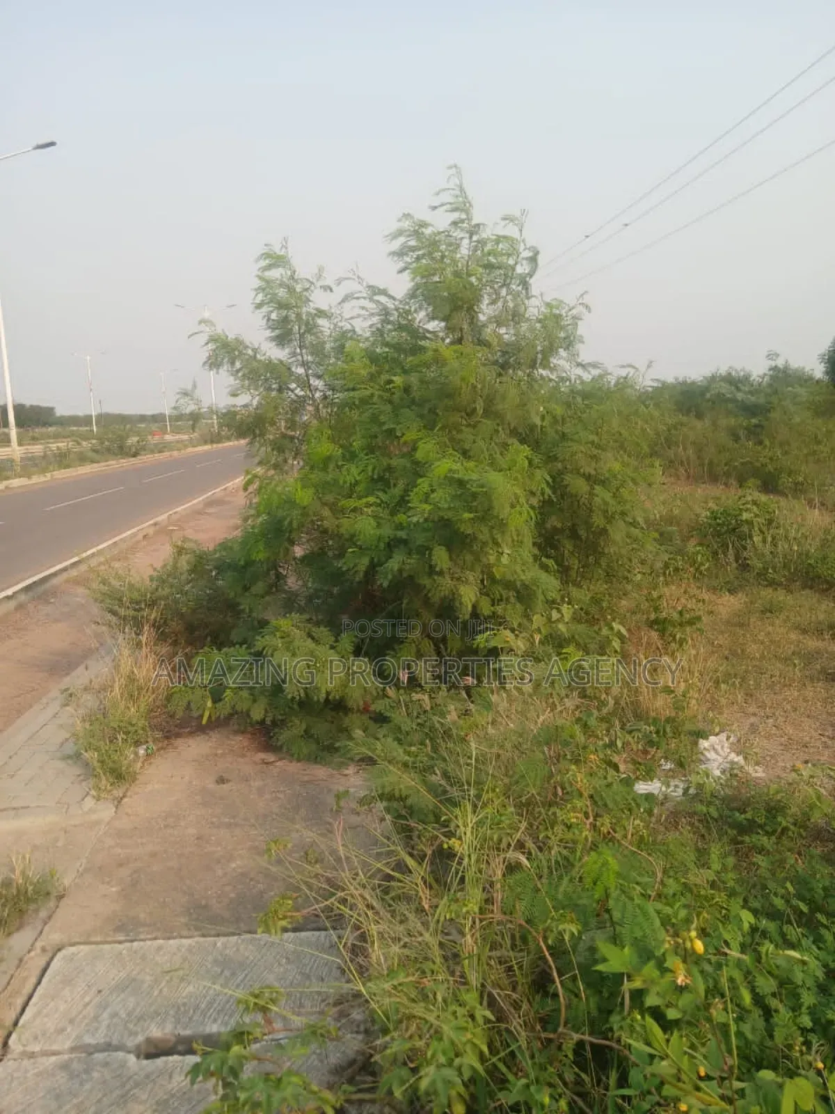 40acres of Land at Trassaco Valley (Borteyman