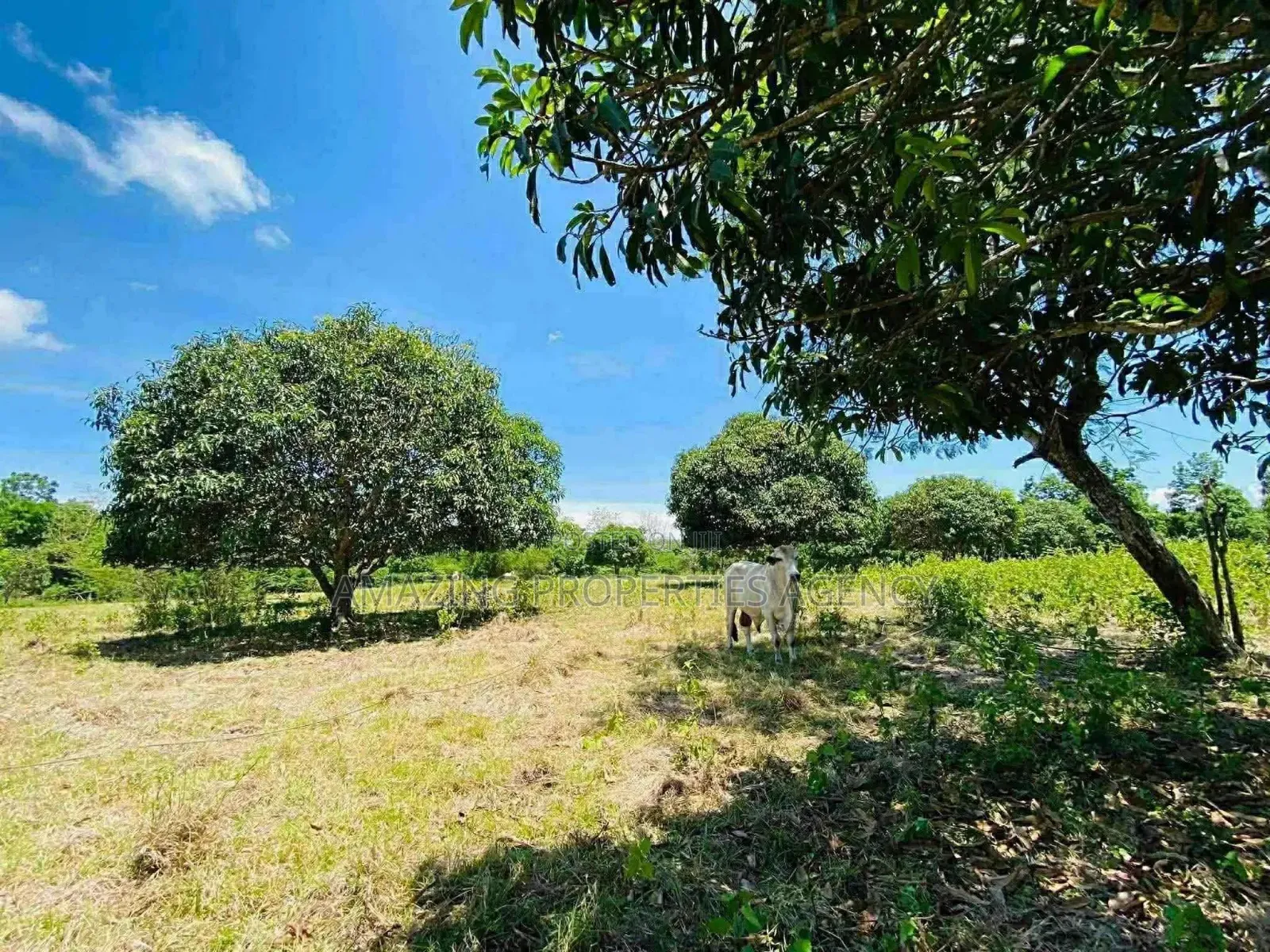 .1.05 Acres of Prime Roadside Land in the Airport Residential Area