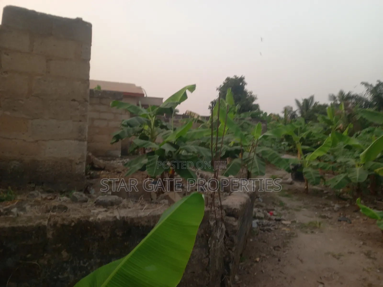 Plot for Sale at Kenyasi/ Buobai ( 3rd Plot Main Road)