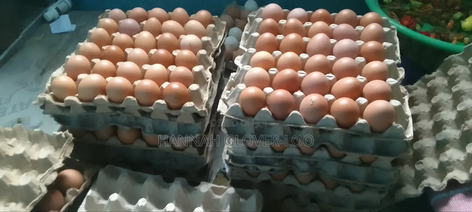 Fresh Organic Eggs