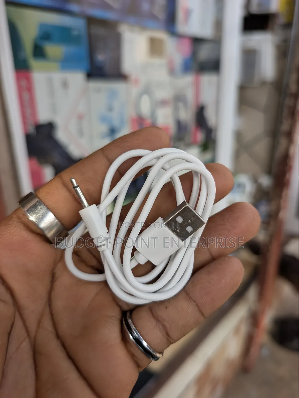 Universal Vibrator Charger (Pin)
